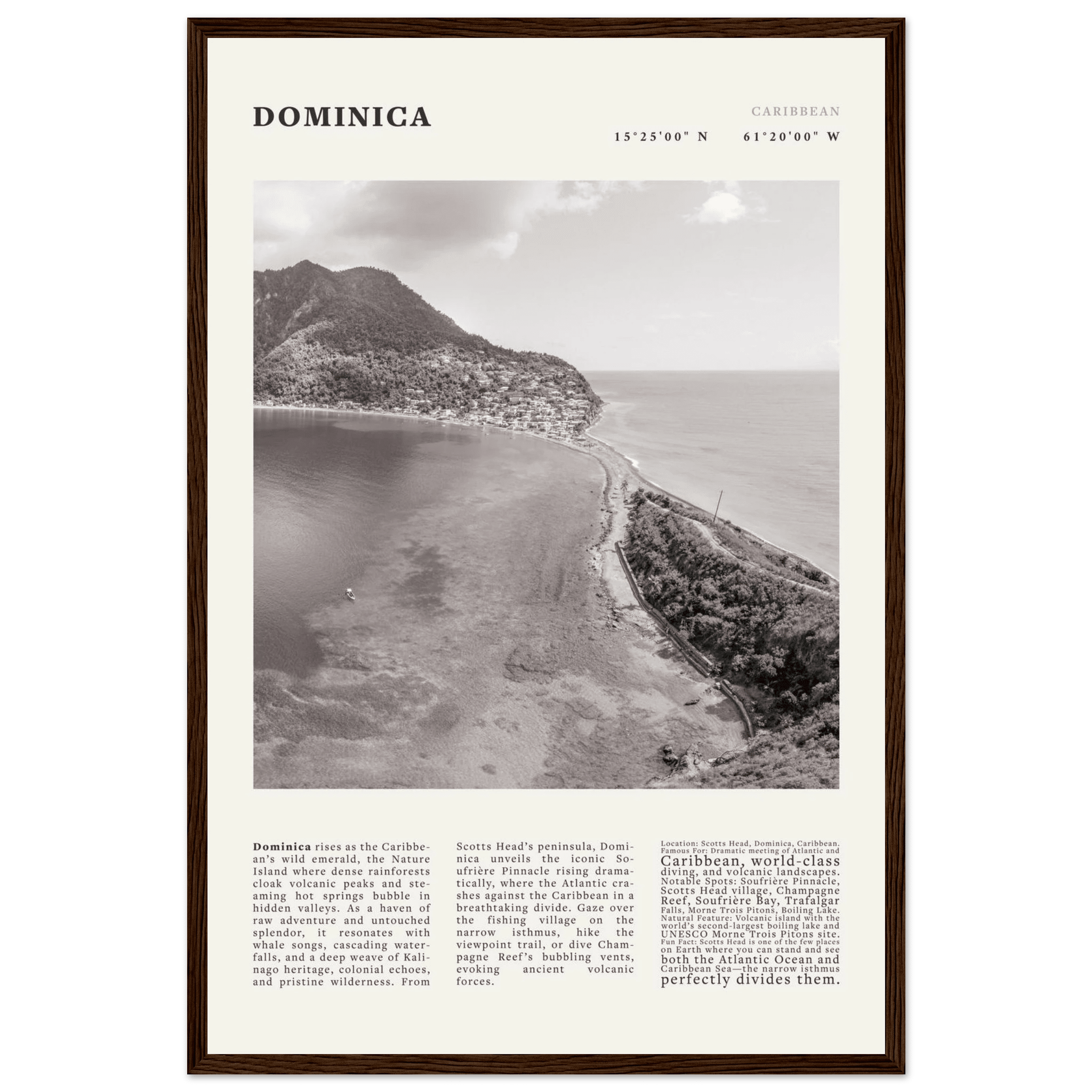 Dominica Poster Black and White – Vintage Caribbean Rainforest Island Print (Digital & Printed Options) - Evergreen Posters