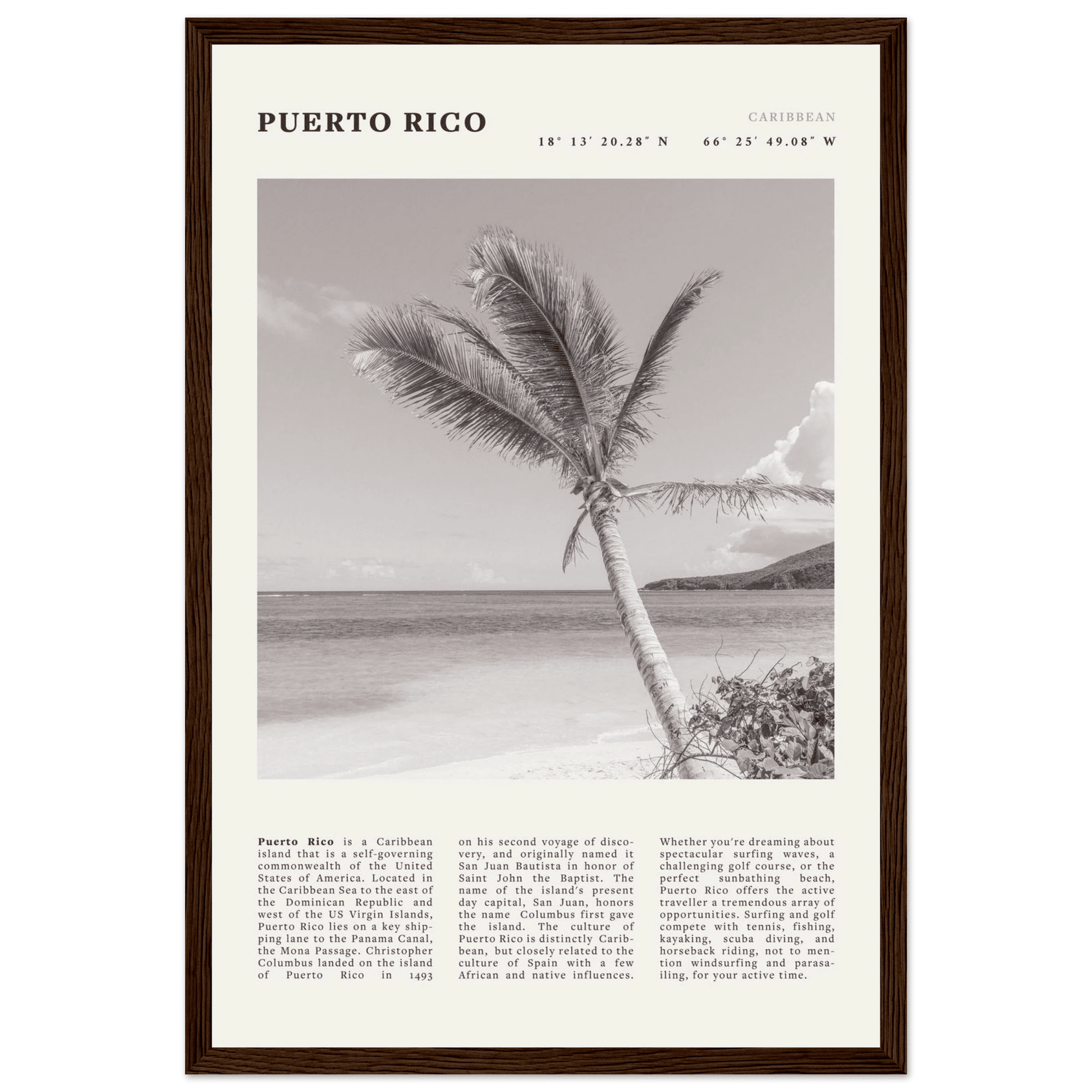 Puerto Rico Poster Black and White – Vintage Caribbean Palm Beach Print (Digital & Printed Options) - Evergreen Posters