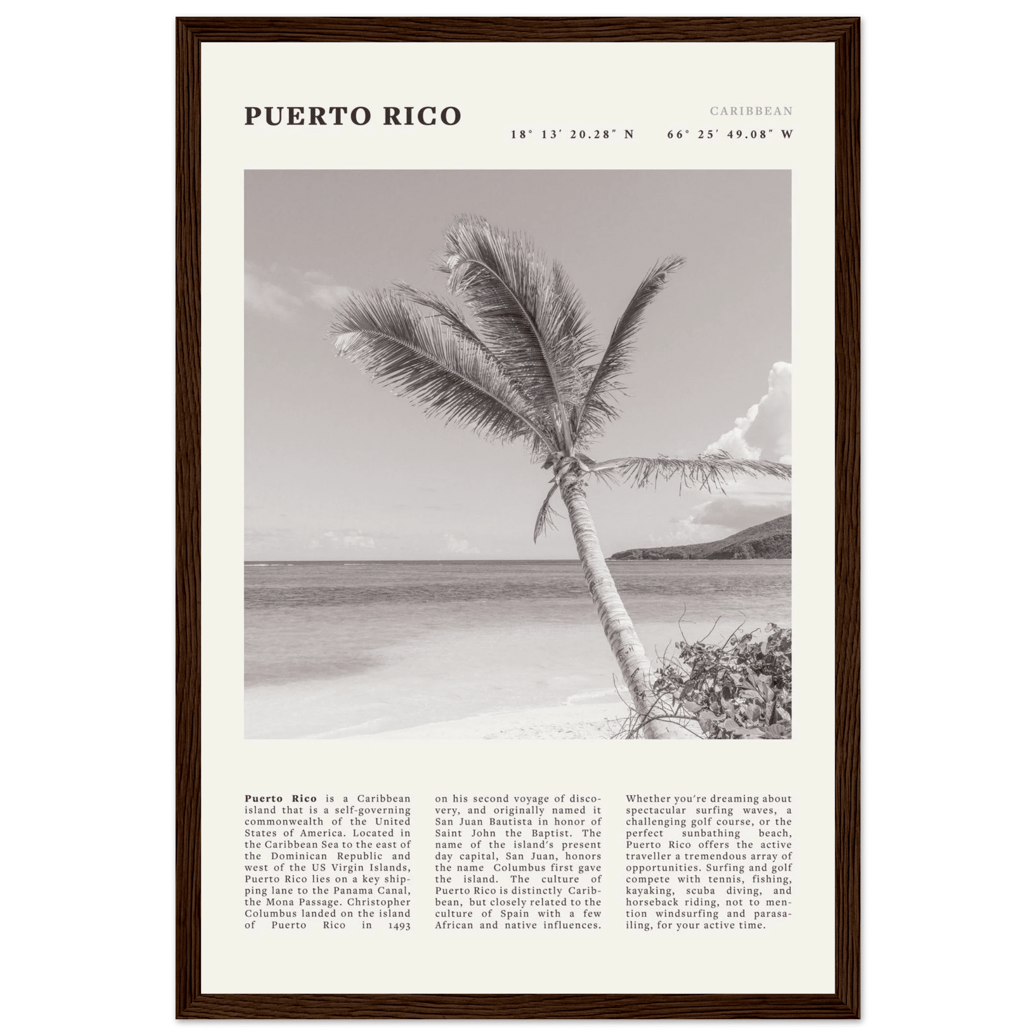 Puerto Rico Poster Black and White – Vintage Caribbean Palm Beach Print (Digital & Printed Options) - Evergreen Posters