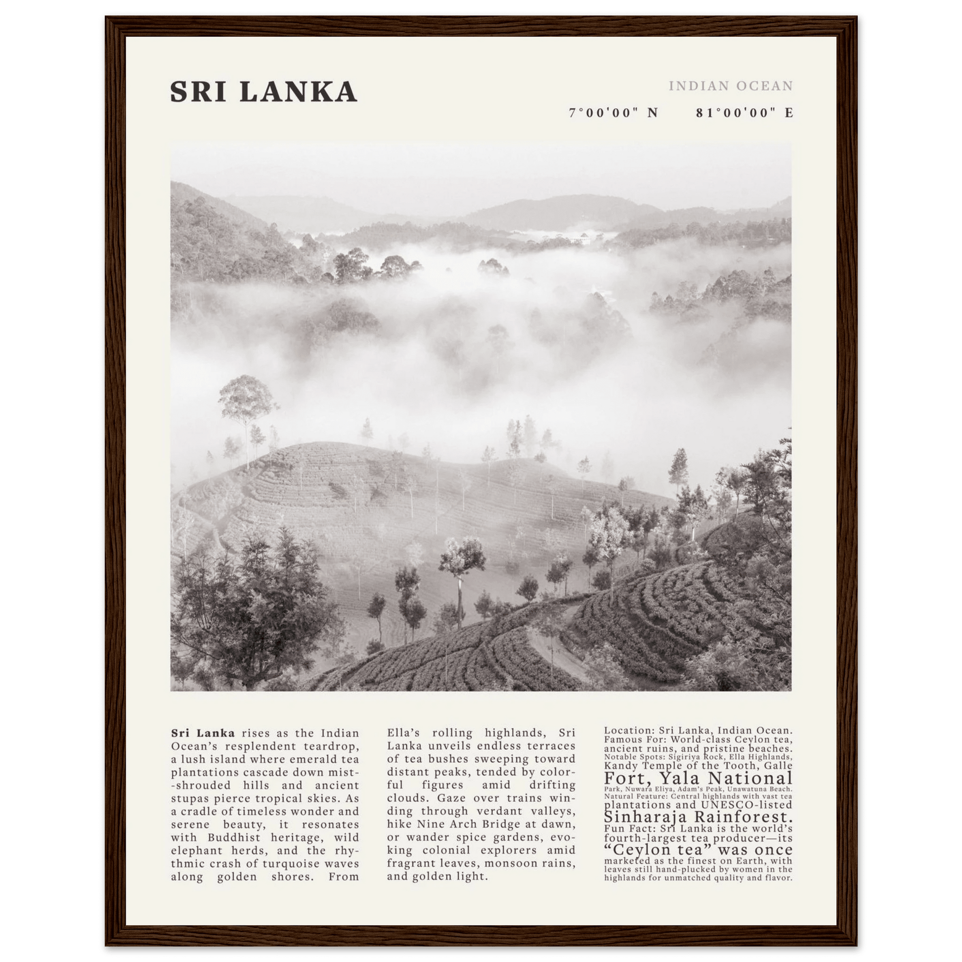 Sri Lanka Poster Black and White – Vintage Ceylon Tea Plantation Print (Digital & Printed Options) - Evergreen Posters