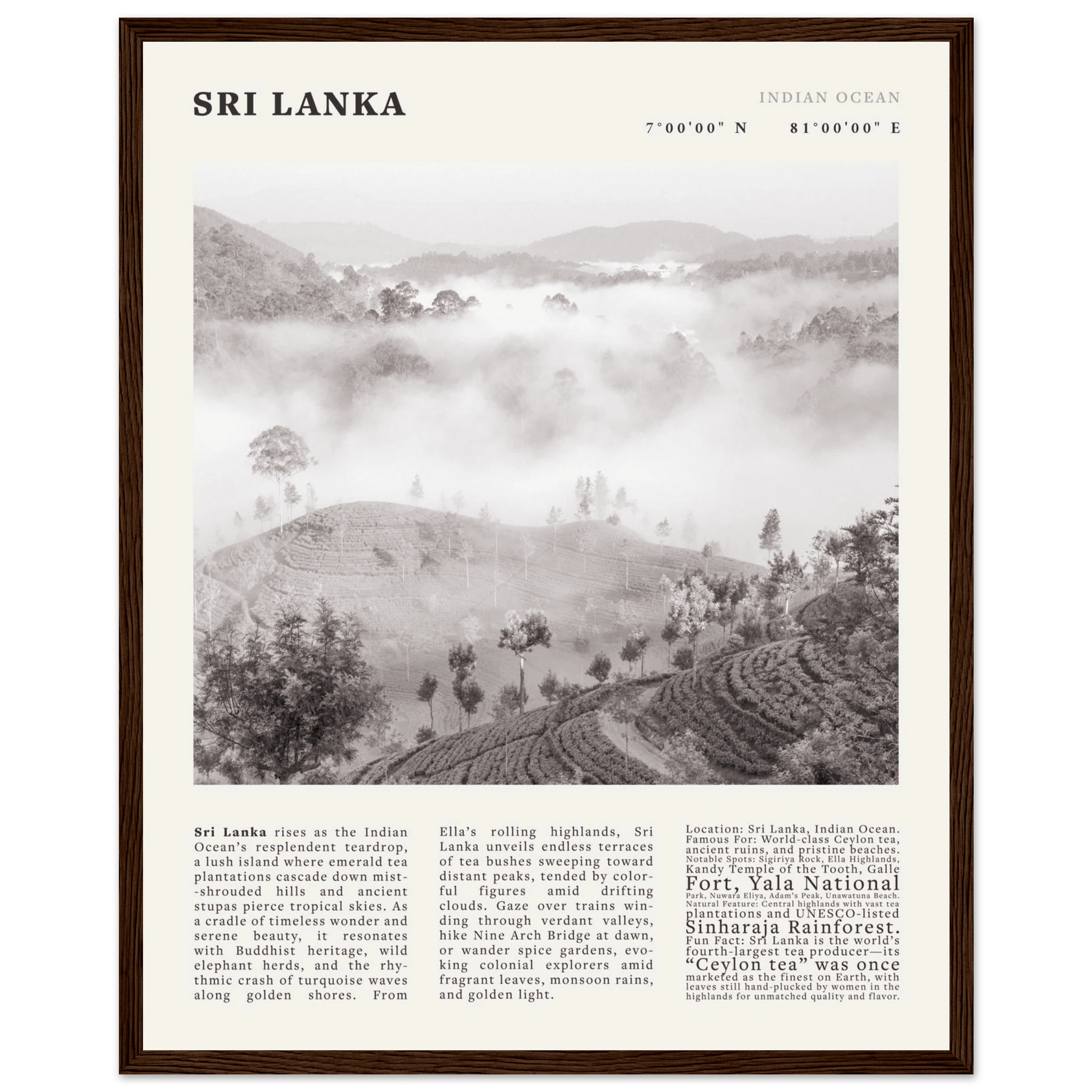Sri Lanka Poster Black and White – Vintage Ceylon Tea Plantation Print (Digital & Printed Options) - Evergreen Posters