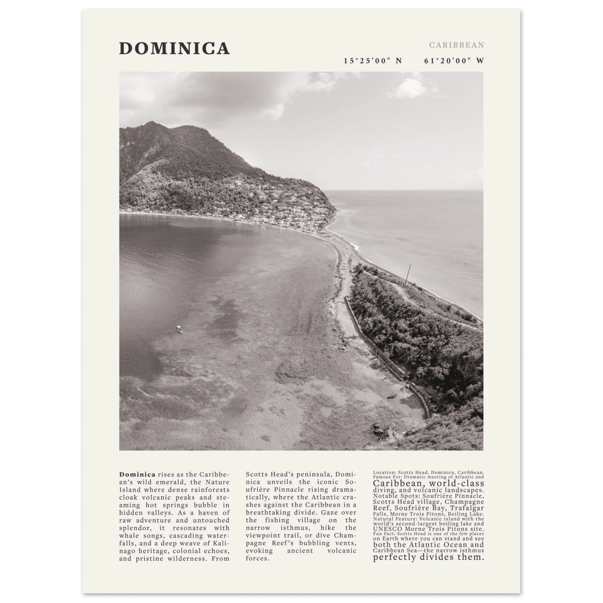 Dominica Poster Black and White – Vintage Caribbean Rainforest Island Print (Digital & Printed Options) - Evergreen Posters