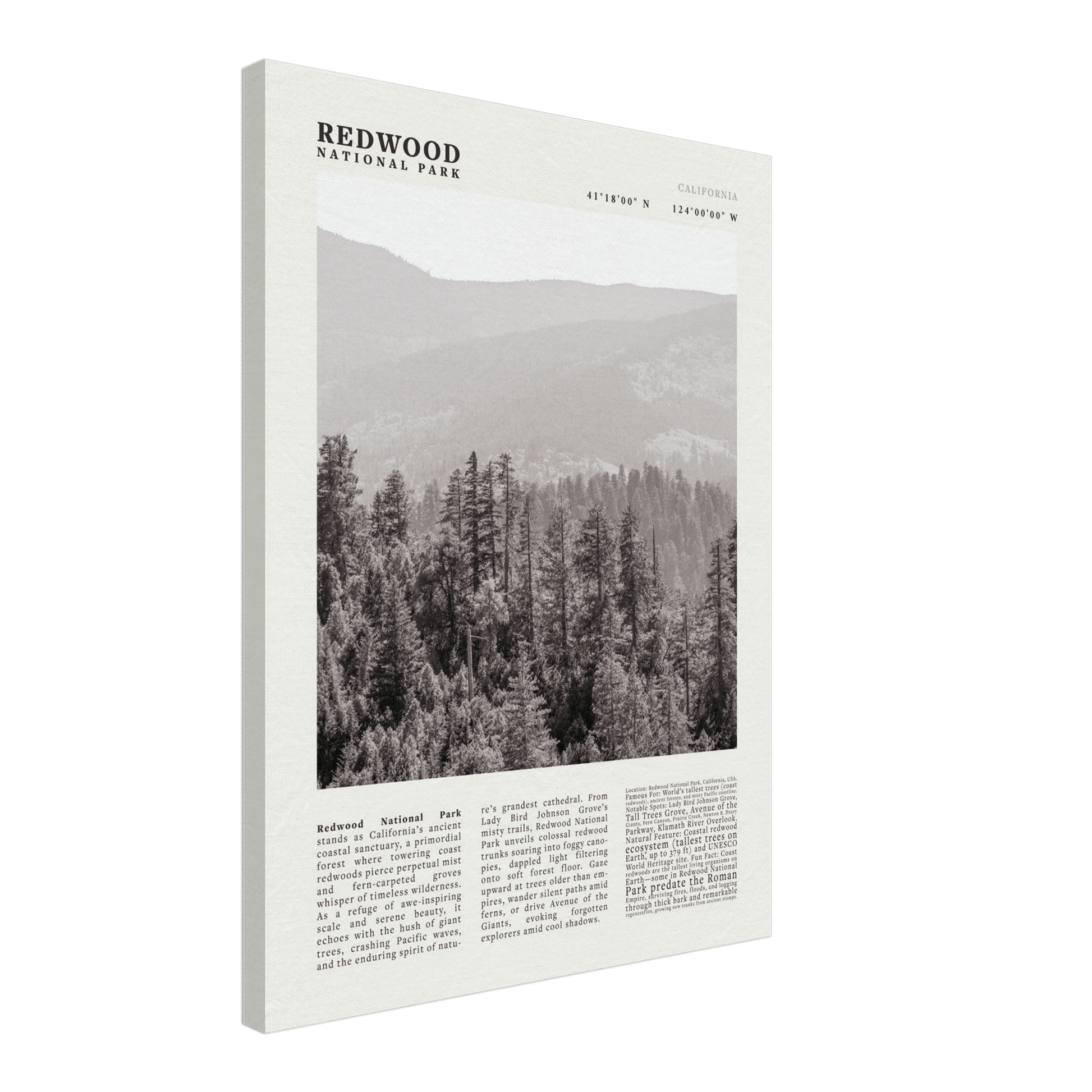 Redwood National Park Poster Black and White – Vintage Foggy Redwood Forest Print - Evergreen Posters