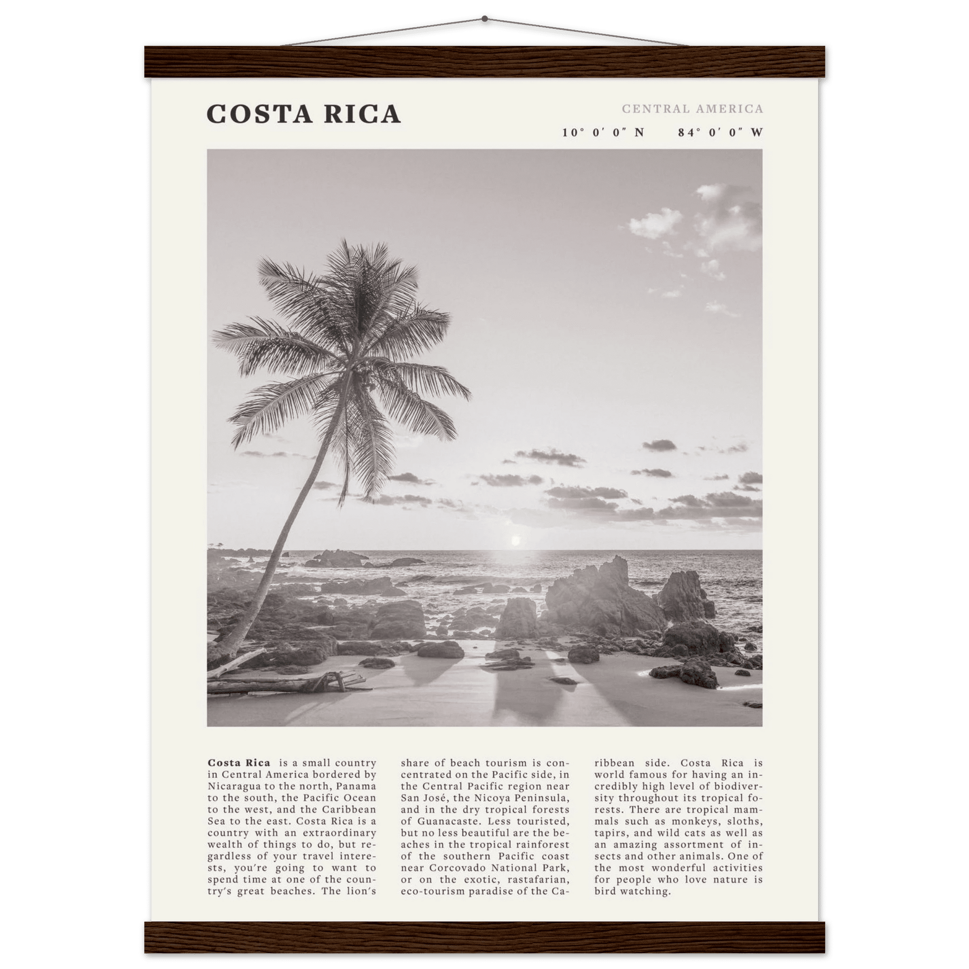 Costa Rica Poster | Black & White Palm Tree Beach Wall Art | Travel Print Decor - Evergreen Posters