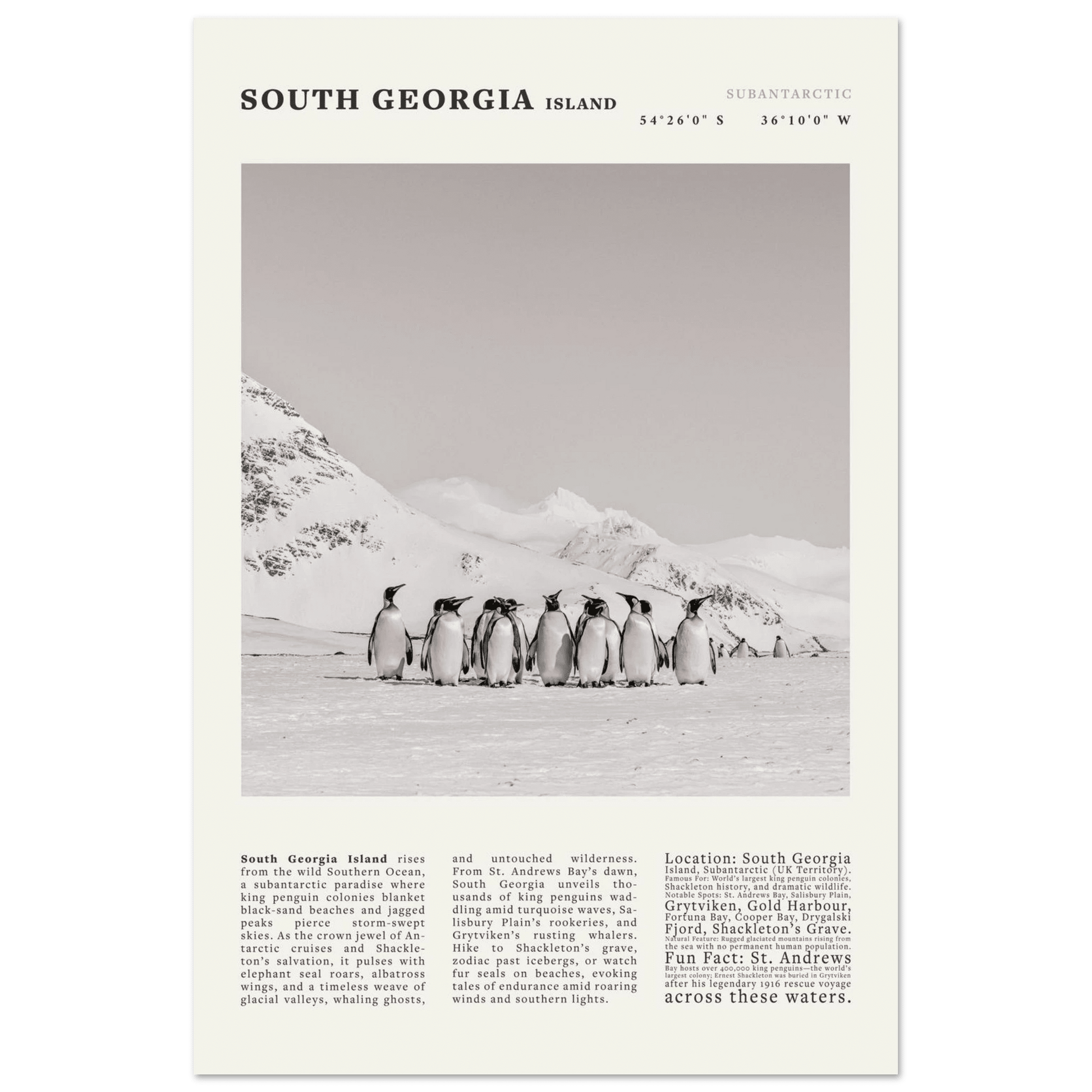 South Georgia Island Black and White Vintage Poster - Evergreen Posters