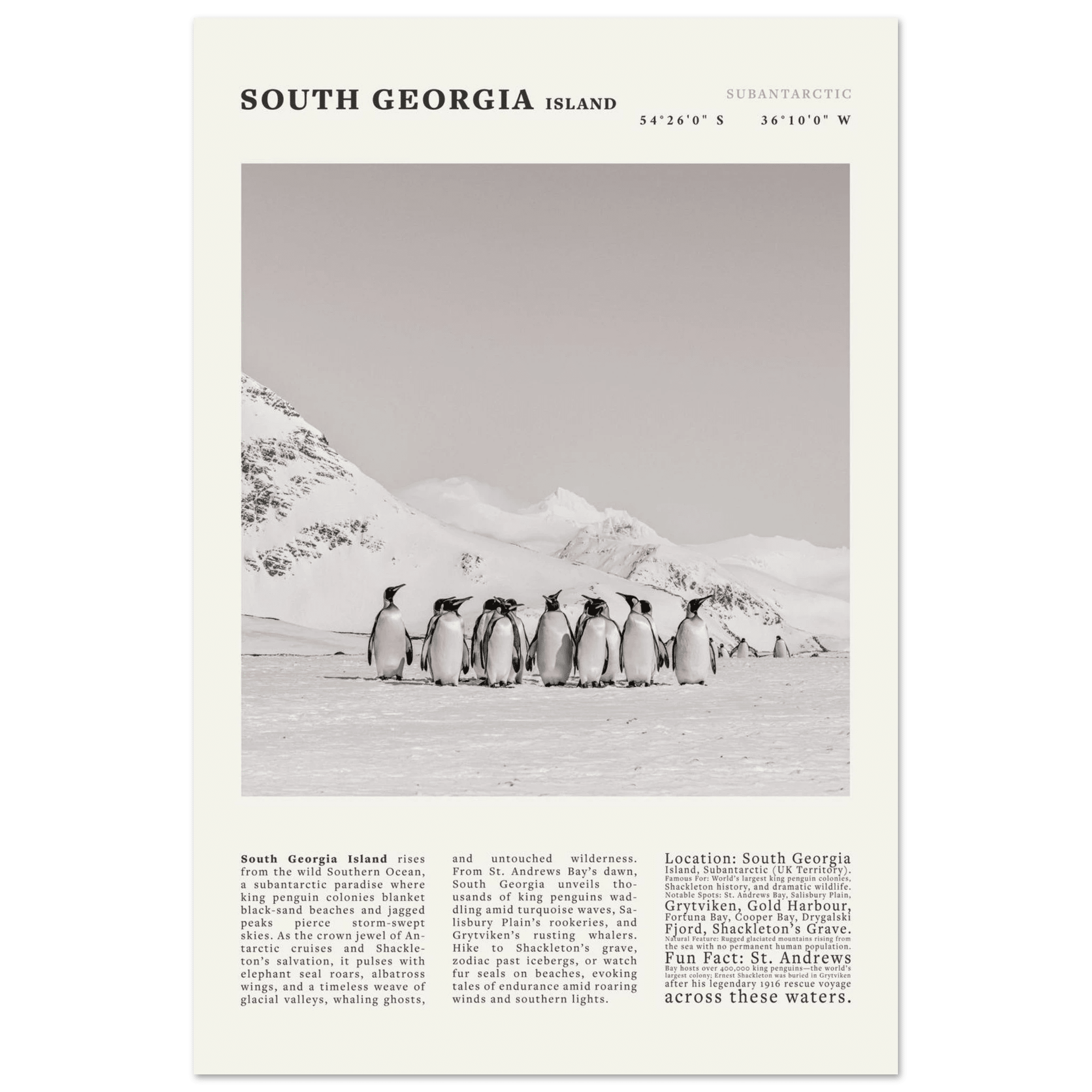 South Georgia Island Black and White Vintage Poster - Evergreen Posters