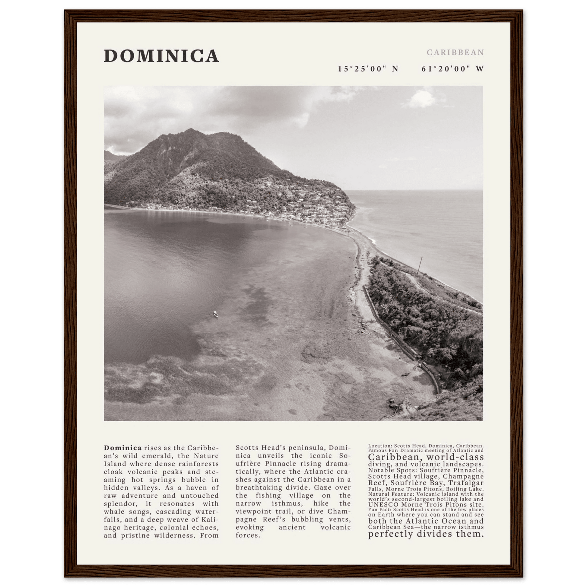 Dominica Poster Black and White – Vintage Caribbean Rainforest Island Print (Digital & Printed Options) - Evergreen Posters