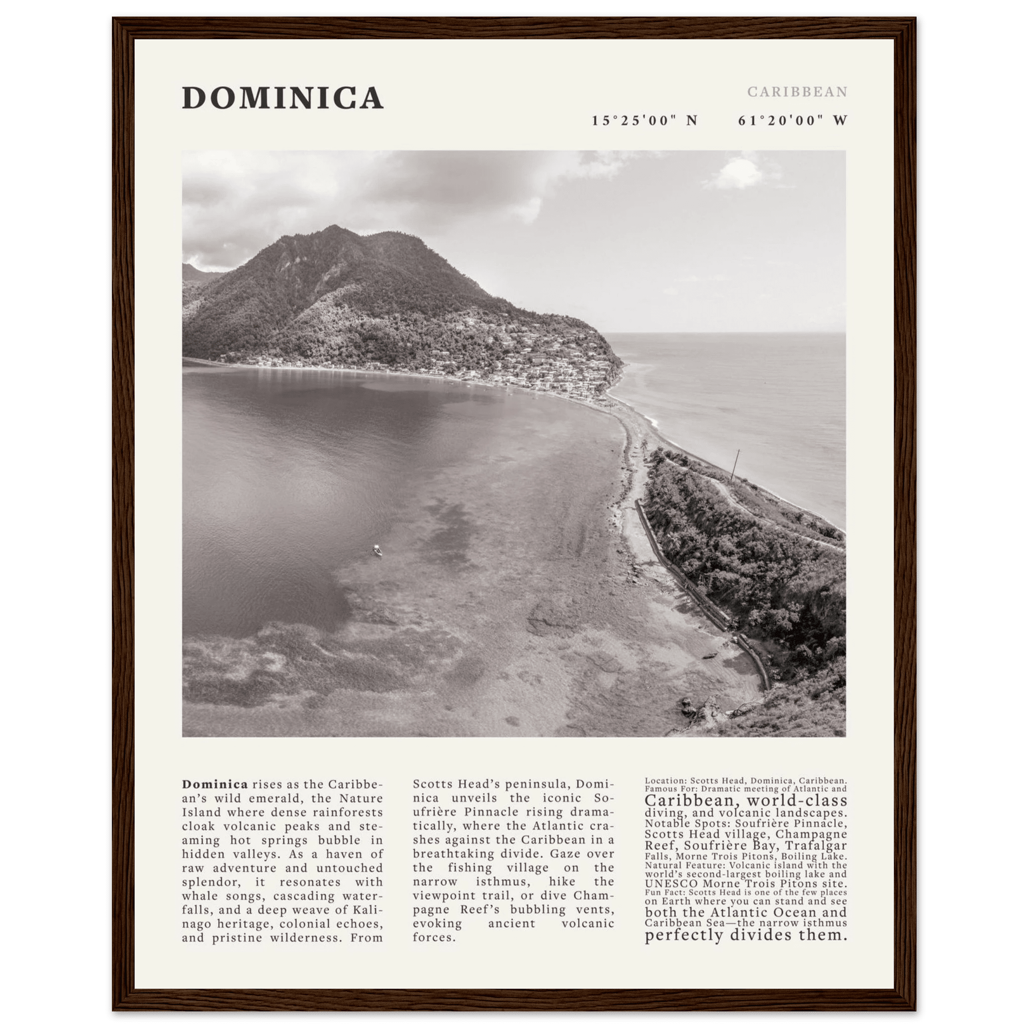 Dominica Poster Black and White – Vintage Caribbean Rainforest Island Print (Digital & Printed Options) - Evergreen Posters