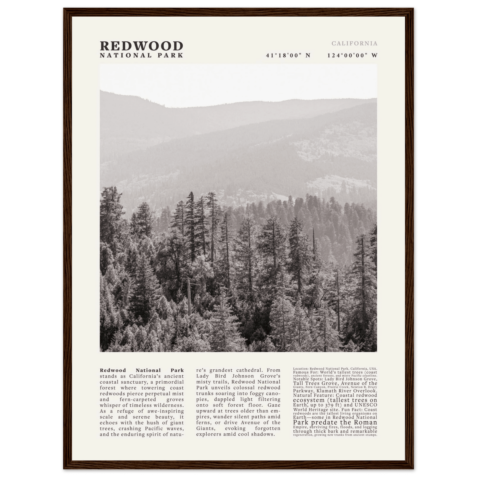 Redwood National Park Poster Black and White – Vintage Foggy Redwood Forest Print - Evergreen Posters