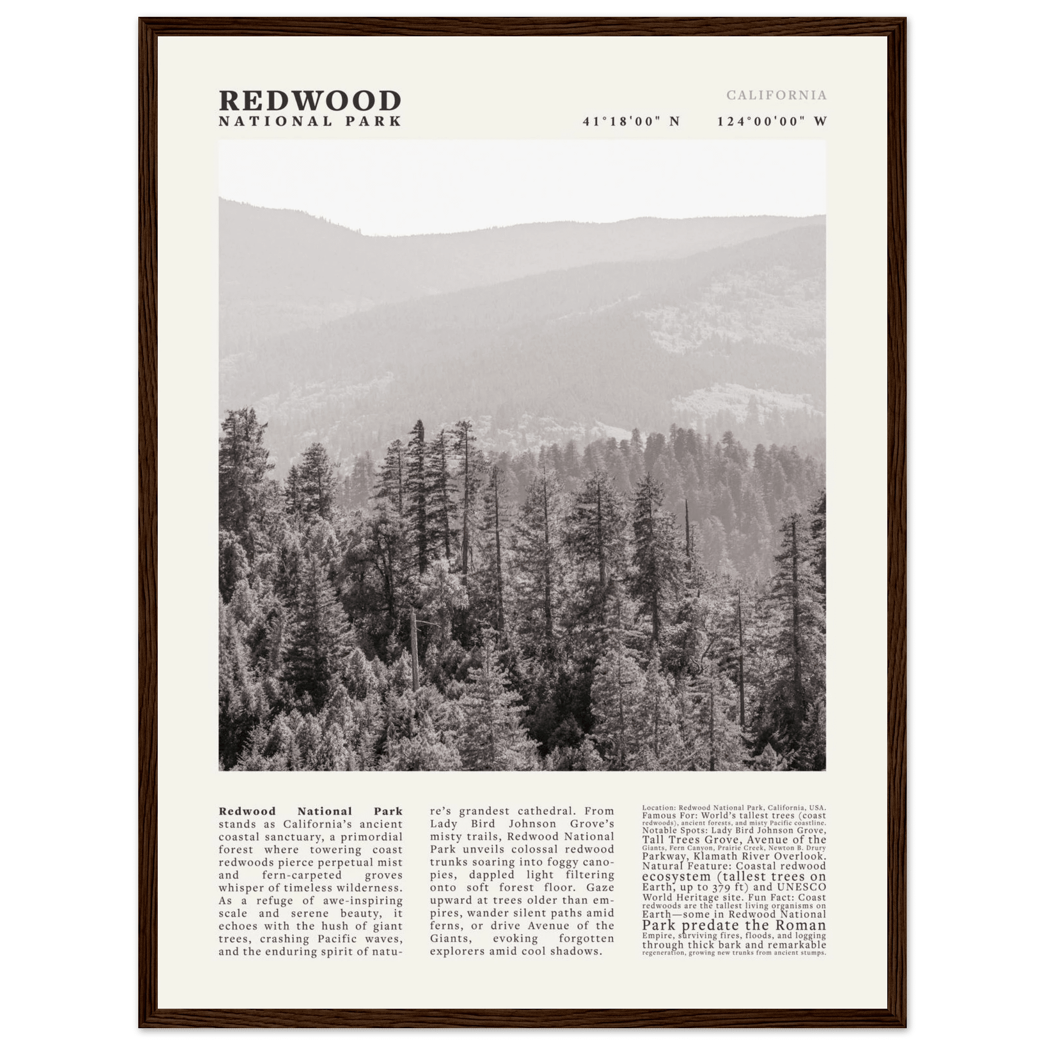 Redwood National Park Poster Black and White – Vintage Foggy Redwood Forest Print - Evergreen Posters
