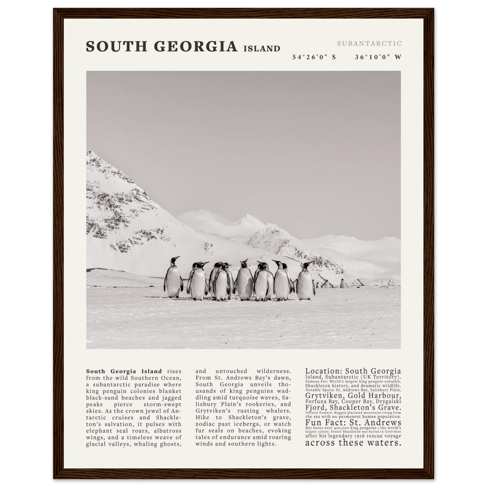 South Georgia Island Black and White Vintage Poster - Evergreen Posters