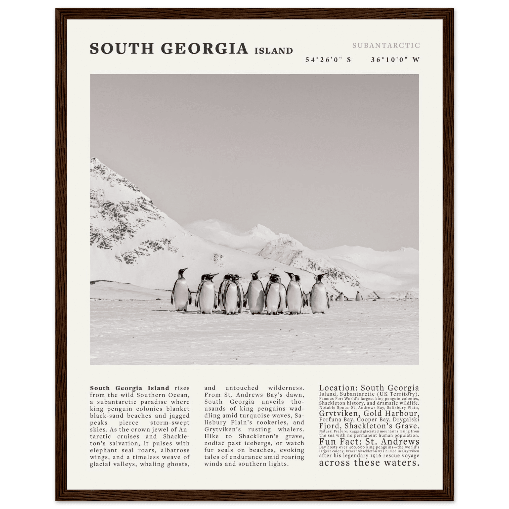 South Georgia Island Black and White Vintage Poster - Evergreen Posters