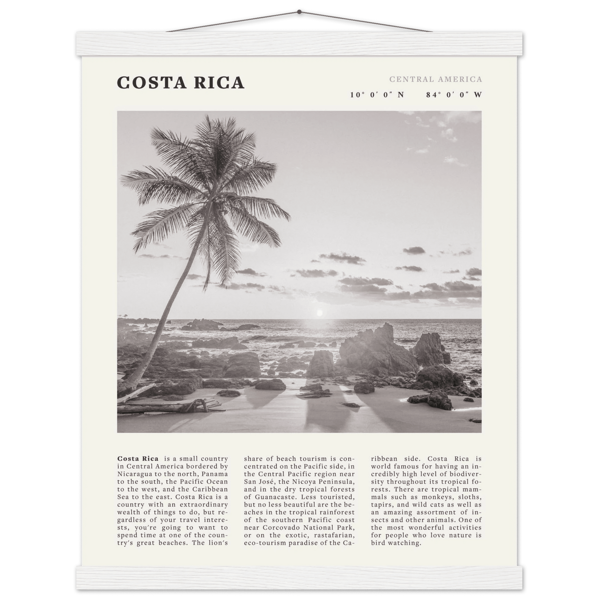Costa Rica Poster | Black & White Palm Tree Beach Wall Art | Travel Print Decor - Evergreen Posters