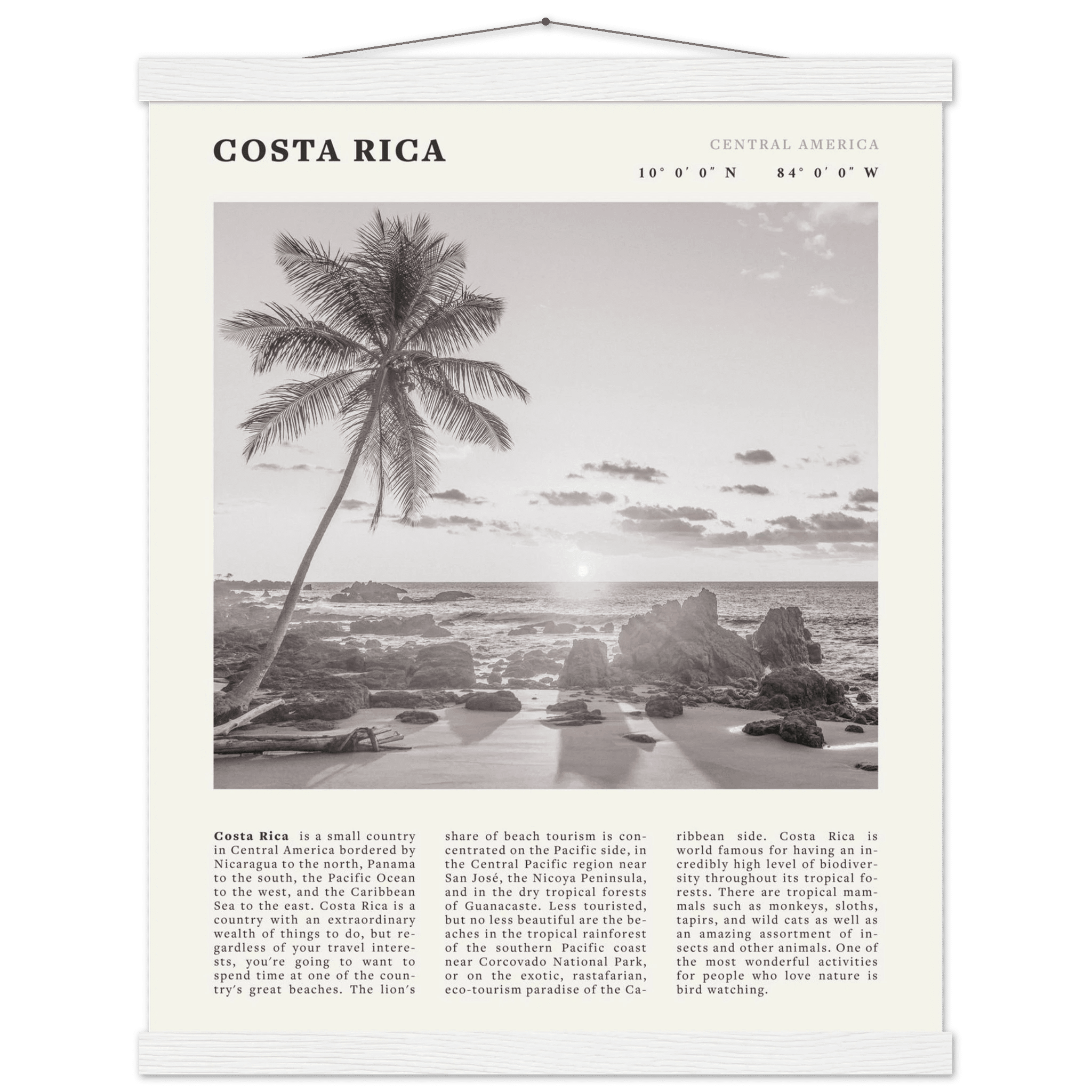 Costa Rica Poster | Black & White Palm Tree Beach Wall Art | Travel Print Decor - Evergreen Posters