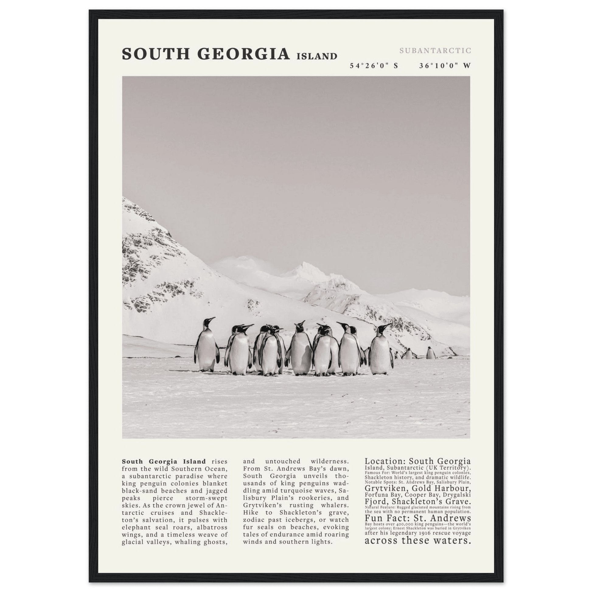 South Georgia Island Black and White Vintage Poster - Evergreen Posters