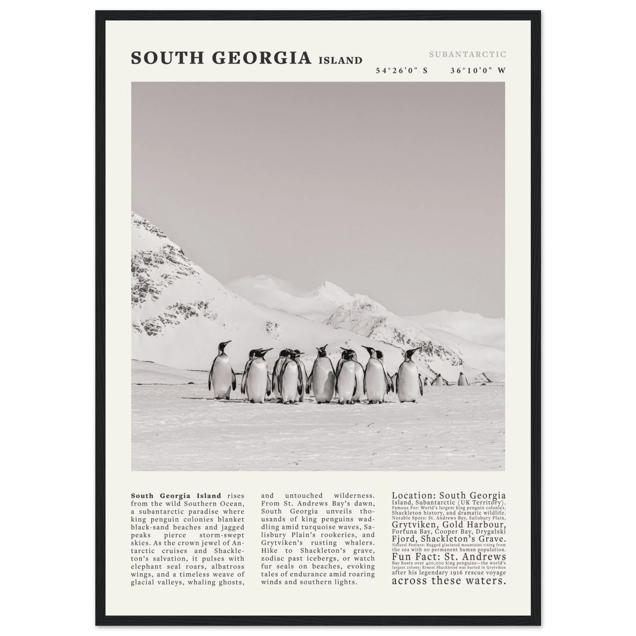 South Georgia Island Black and White Vintage Poster - Evergreen Posters