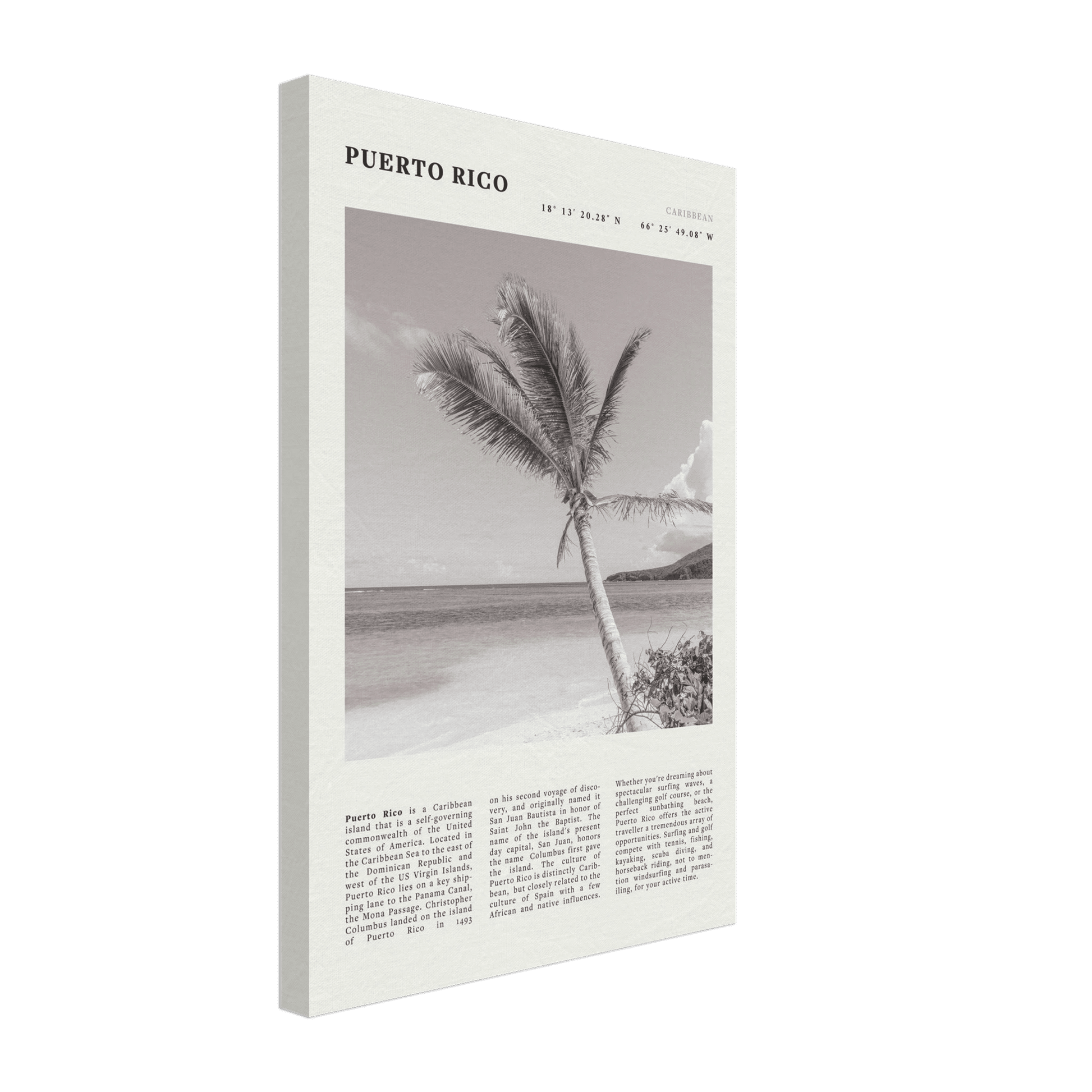 Puerto Rico Poster Black and White – Vintage Caribbean Palm Beach Print (Digital & Printed Options) - Evergreen Posters