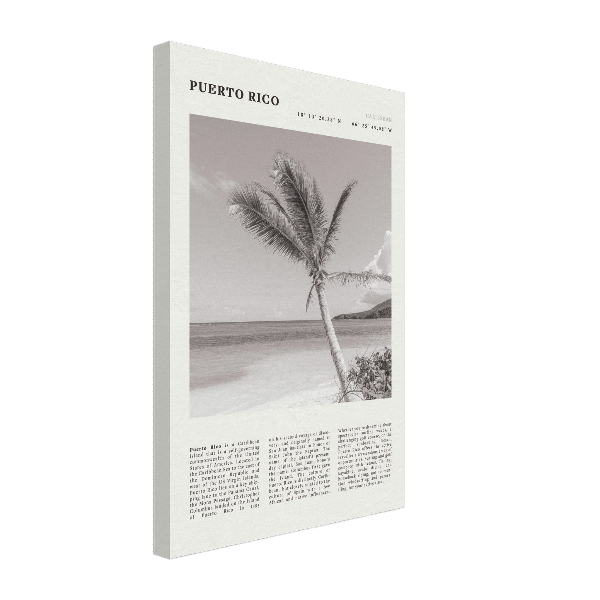 Puerto Rico Poster Black and White – Vintage Caribbean Palm Beach Print (Digital & Printed Options) - Evergreen Posters