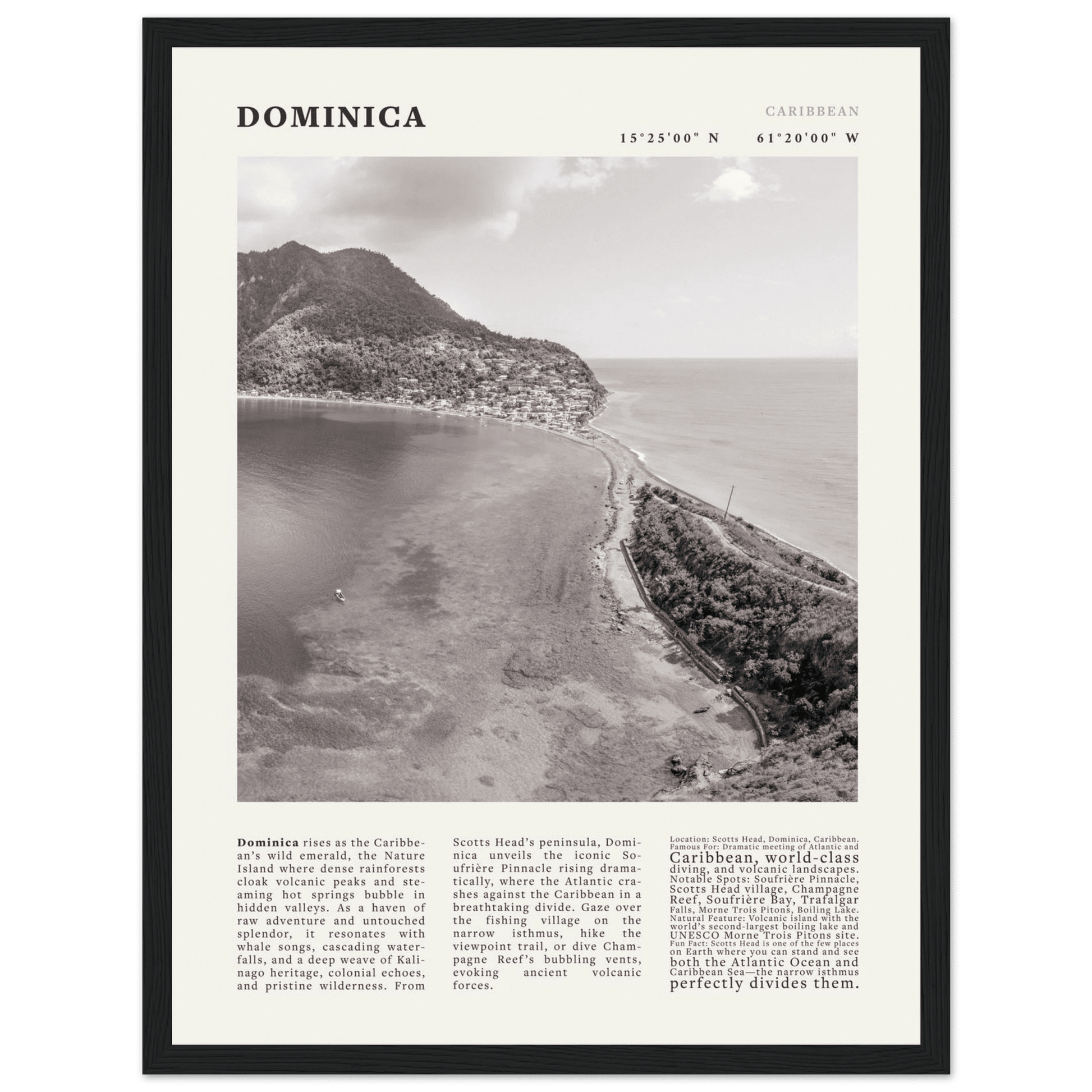 Dominica Poster Black and White – Vintage Caribbean Rainforest Island Print (Digital & Printed Options) - Evergreen Posters