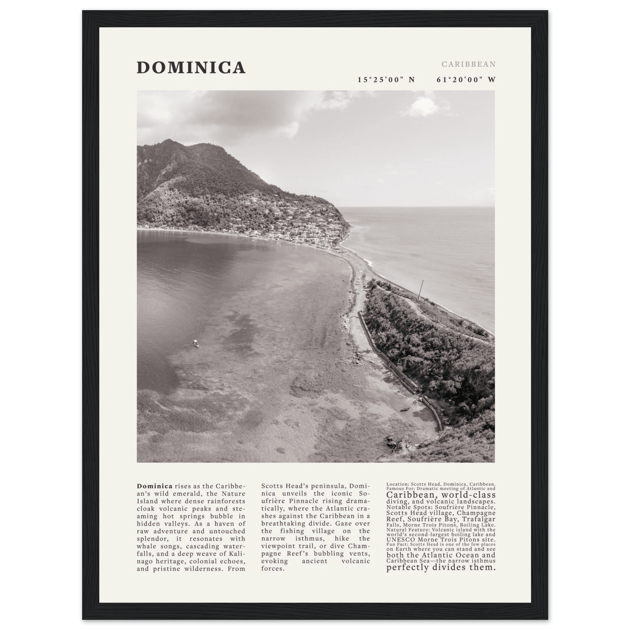 Dominica Poster Black and White – Vintage Caribbean Rainforest Island Print (Digital & Printed Options) - Evergreen Posters