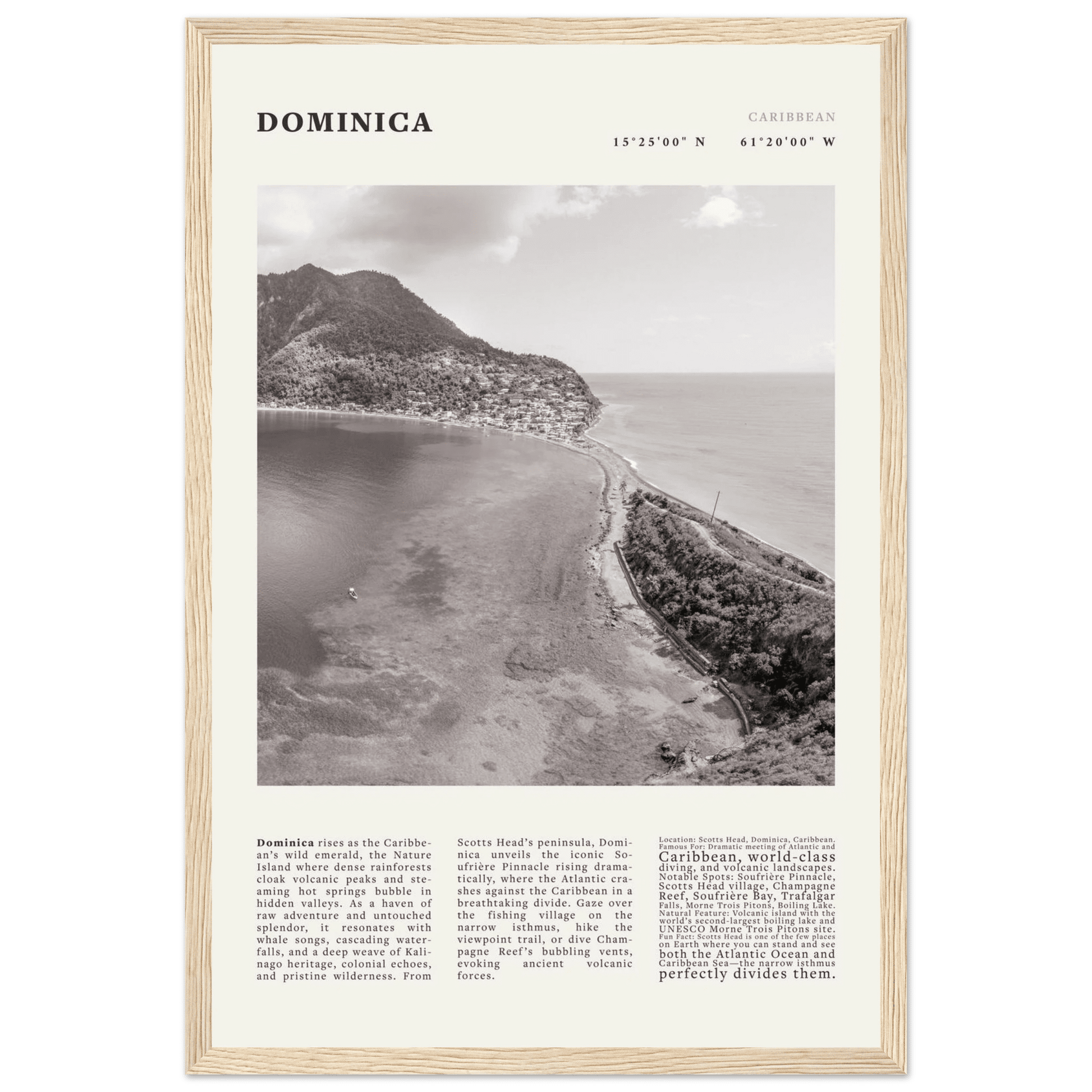Dominica Poster Black and White – Vintage Caribbean Rainforest Island Print (Digital & Printed Options) - Evergreen Posters