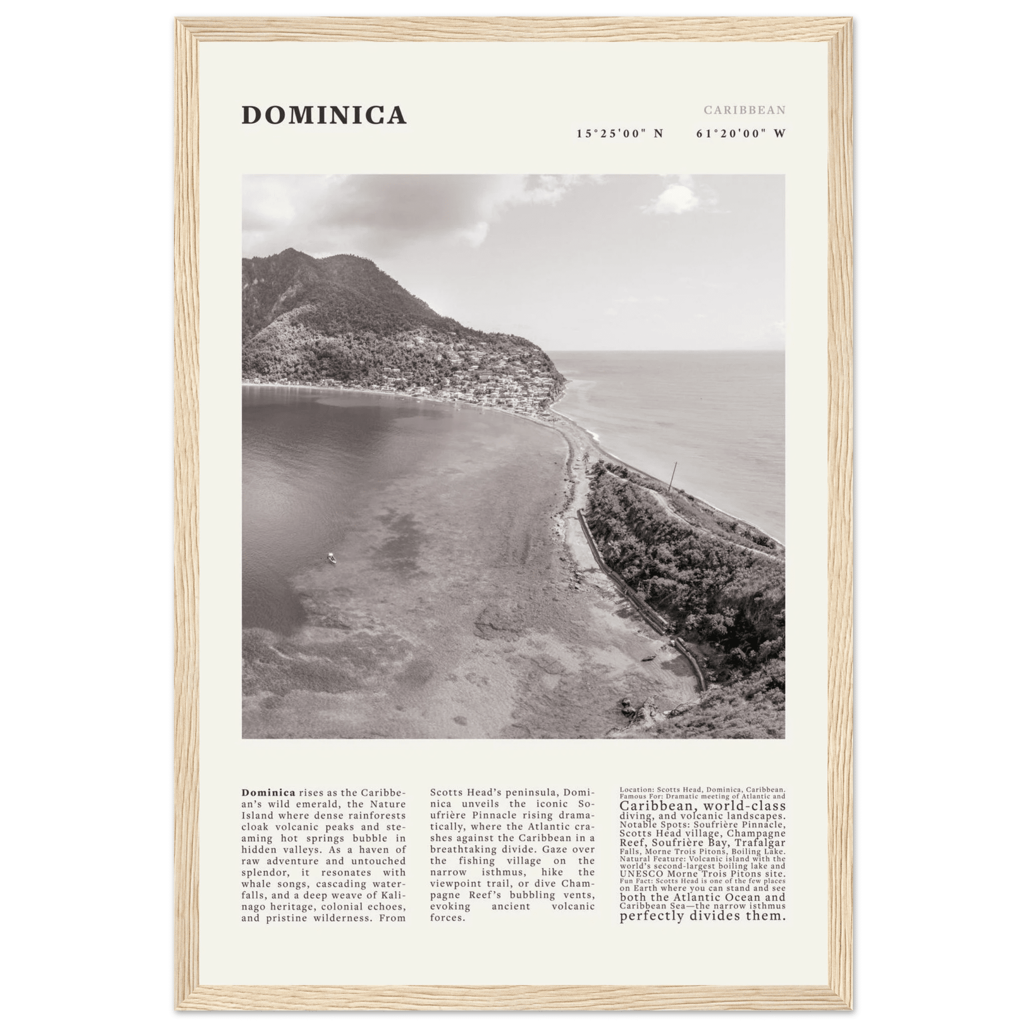 Dominica Poster Black and White – Vintage Caribbean Rainforest Island Print (Digital & Printed Options) - Evergreen Posters