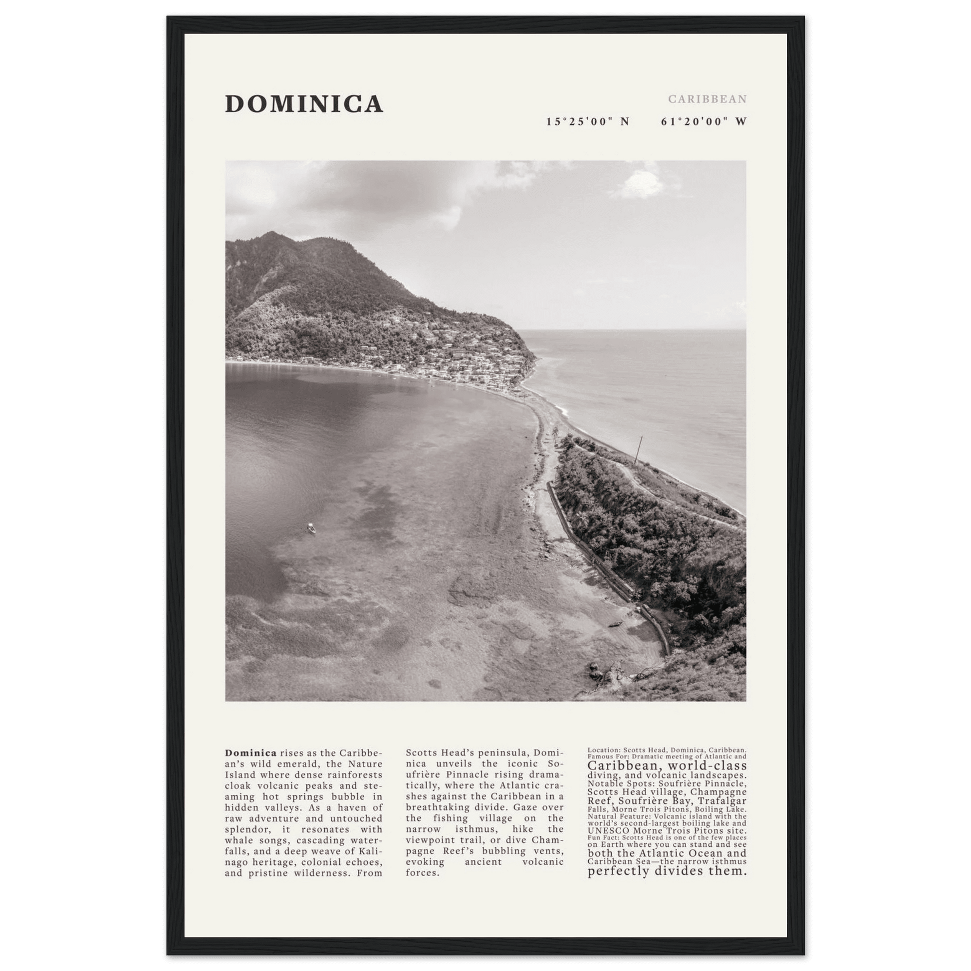 Dominica Poster Black and White – Vintage Caribbean Rainforest Island Print (Digital & Printed Options) - Evergreen Posters