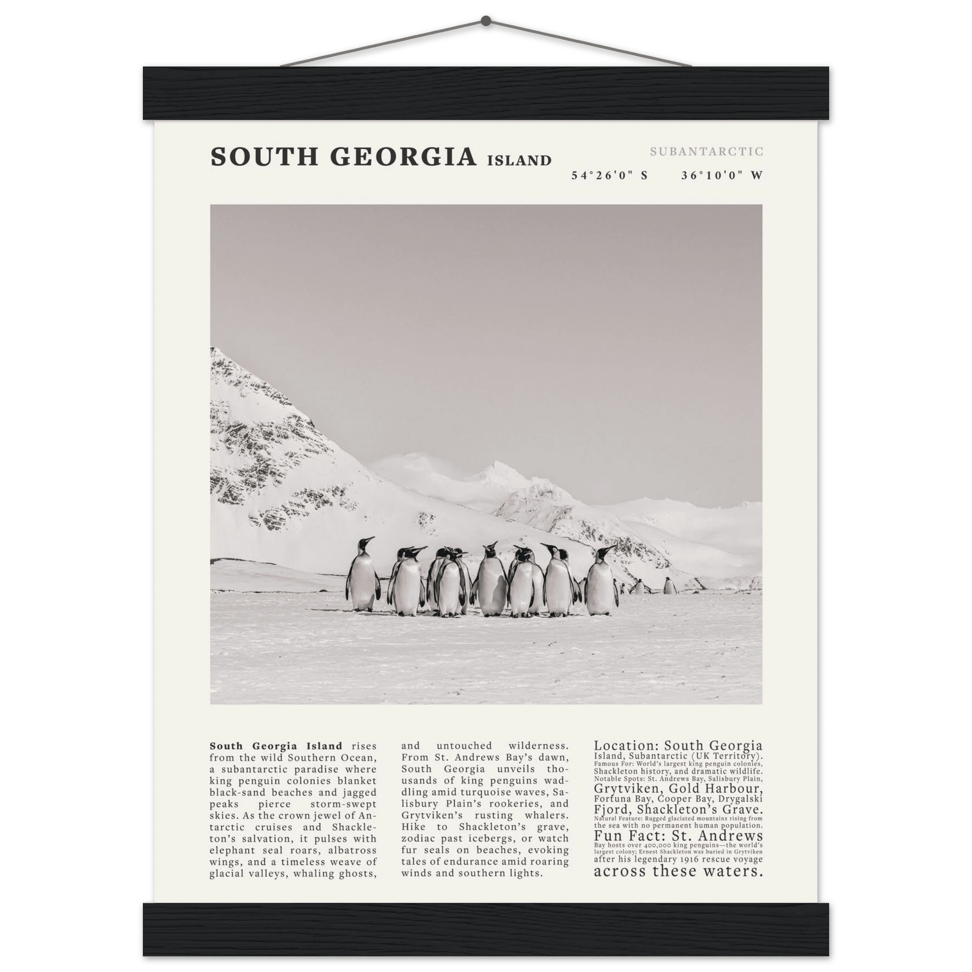 South Georgia Island Black and White Vintage Poster - Evergreen Posters