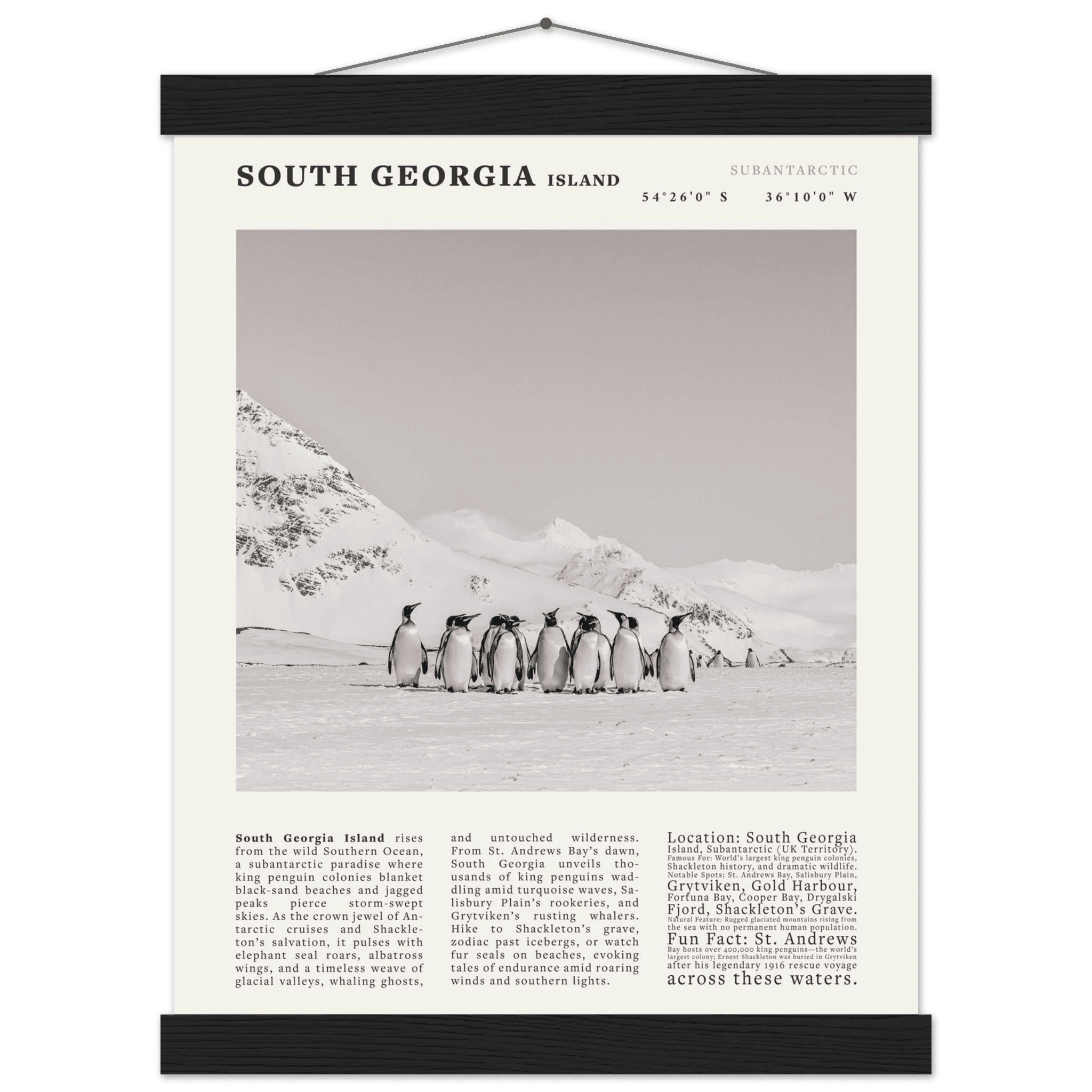 South Georgia Island Black and White Vintage Poster - Evergreen Posters