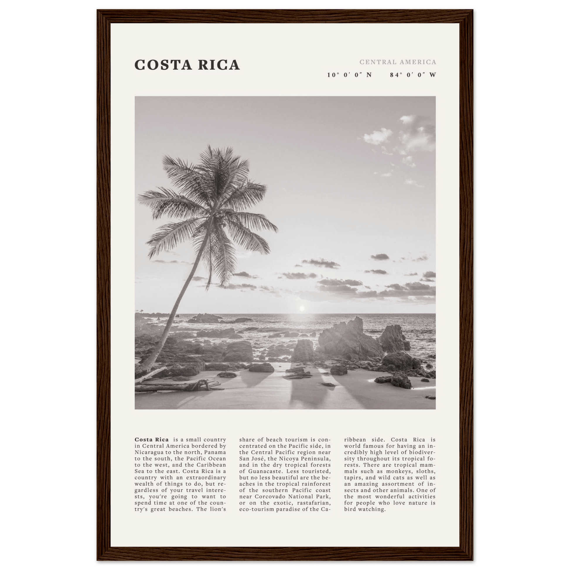 Costa Rica Poster | Black & White Palm Tree Beach Wall Art | Travel Print Decor - Evergreen Posters