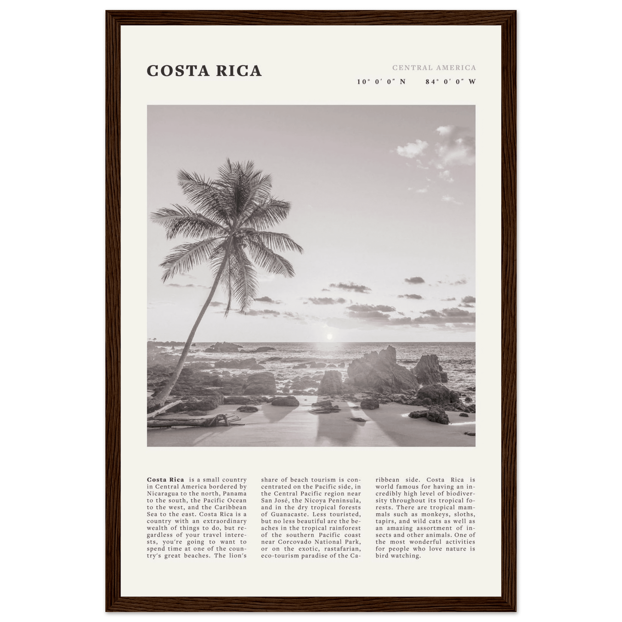 Costa Rica Poster | Black & White Palm Tree Beach Wall Art | Travel Print Decor - Evergreen Posters