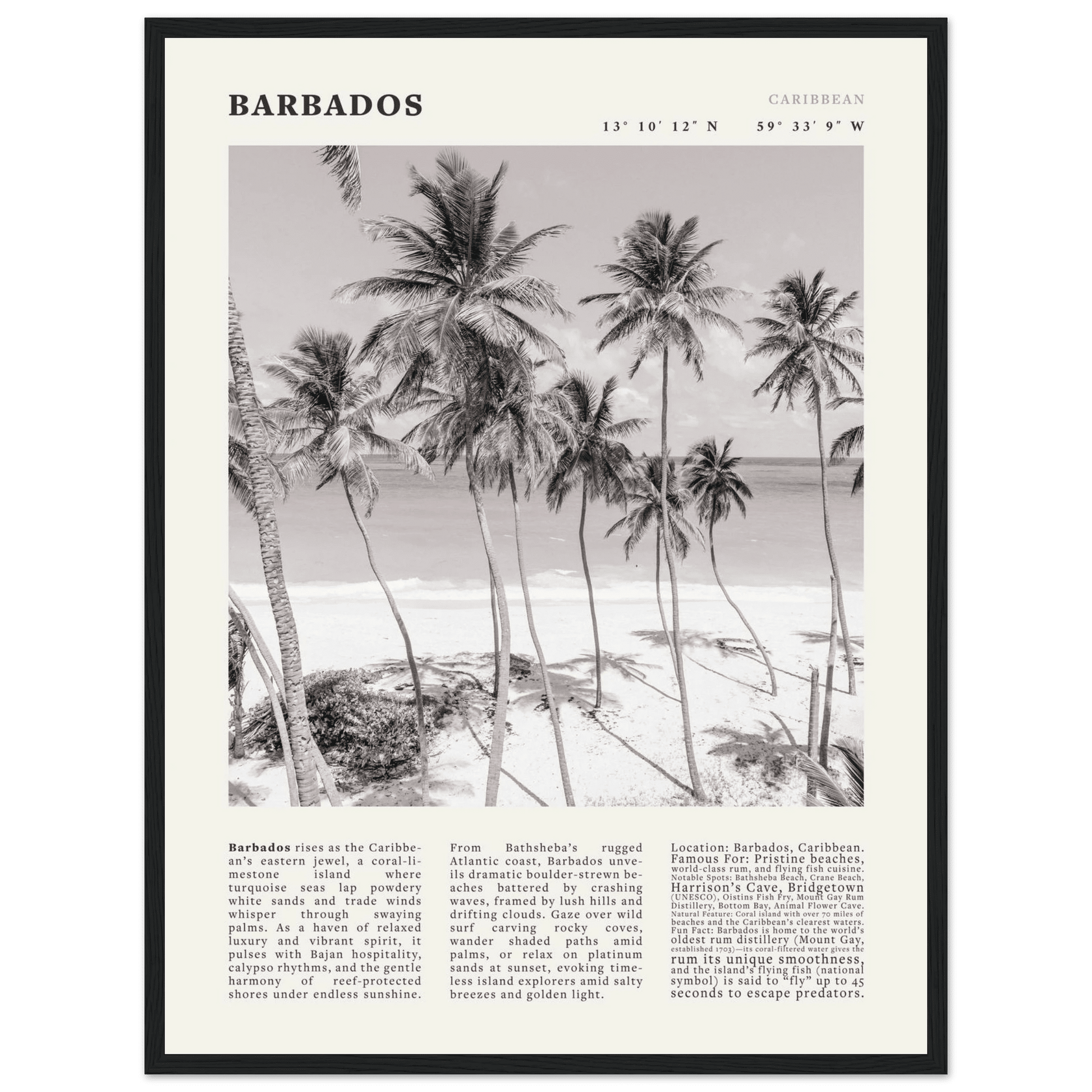 Barbados Poster Black and White – Vintage Caribbean Palm Beach Print (Digital & Printed Options) - Evergreen Posters
