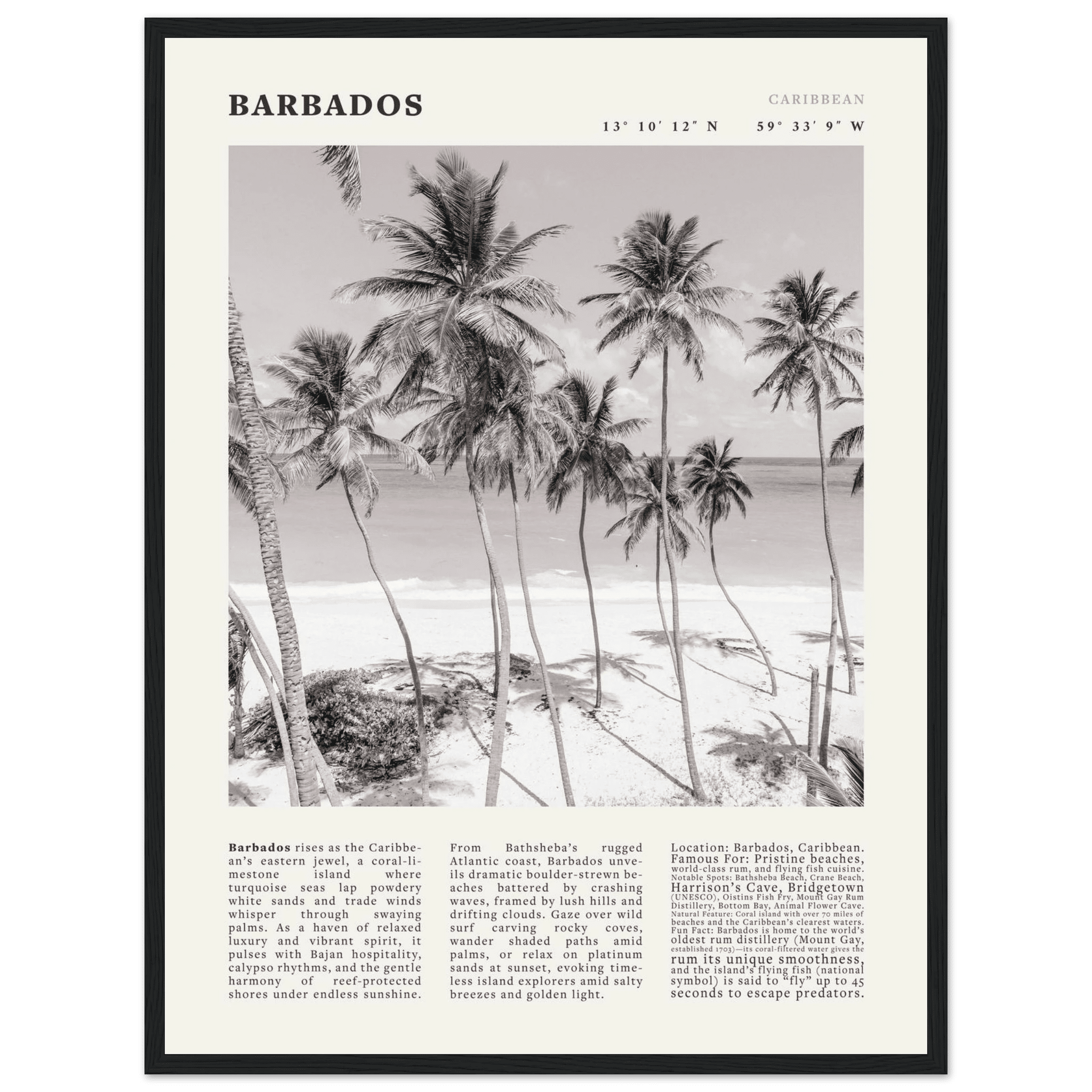 Barbados Poster Black and White – Vintage Caribbean Palm Beach Print (Digital & Printed Options) - Evergreen Posters