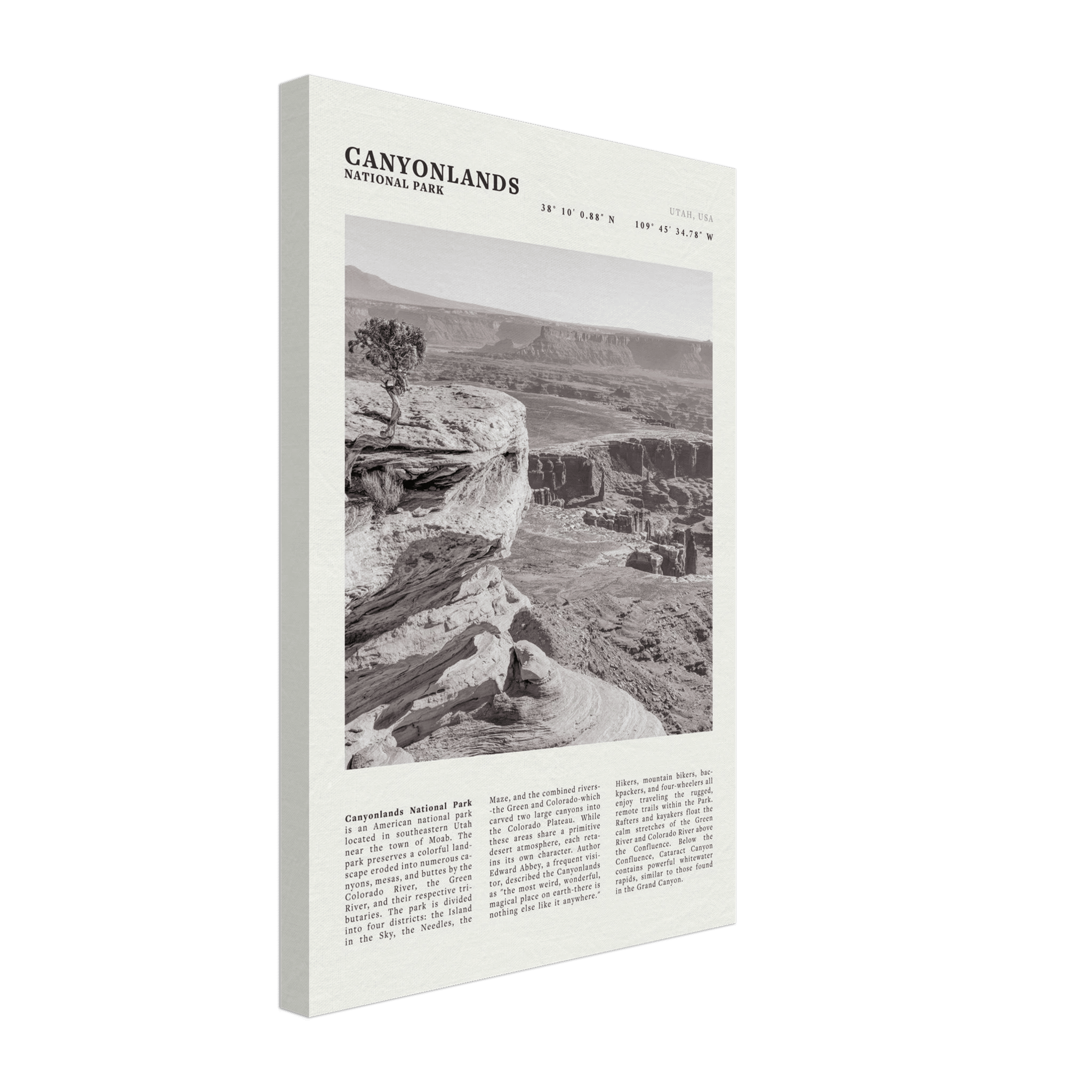 Canyonlands National Park Poster | Black & White Utah Wall Art | Canyon Travel Print - Evergreen Posters