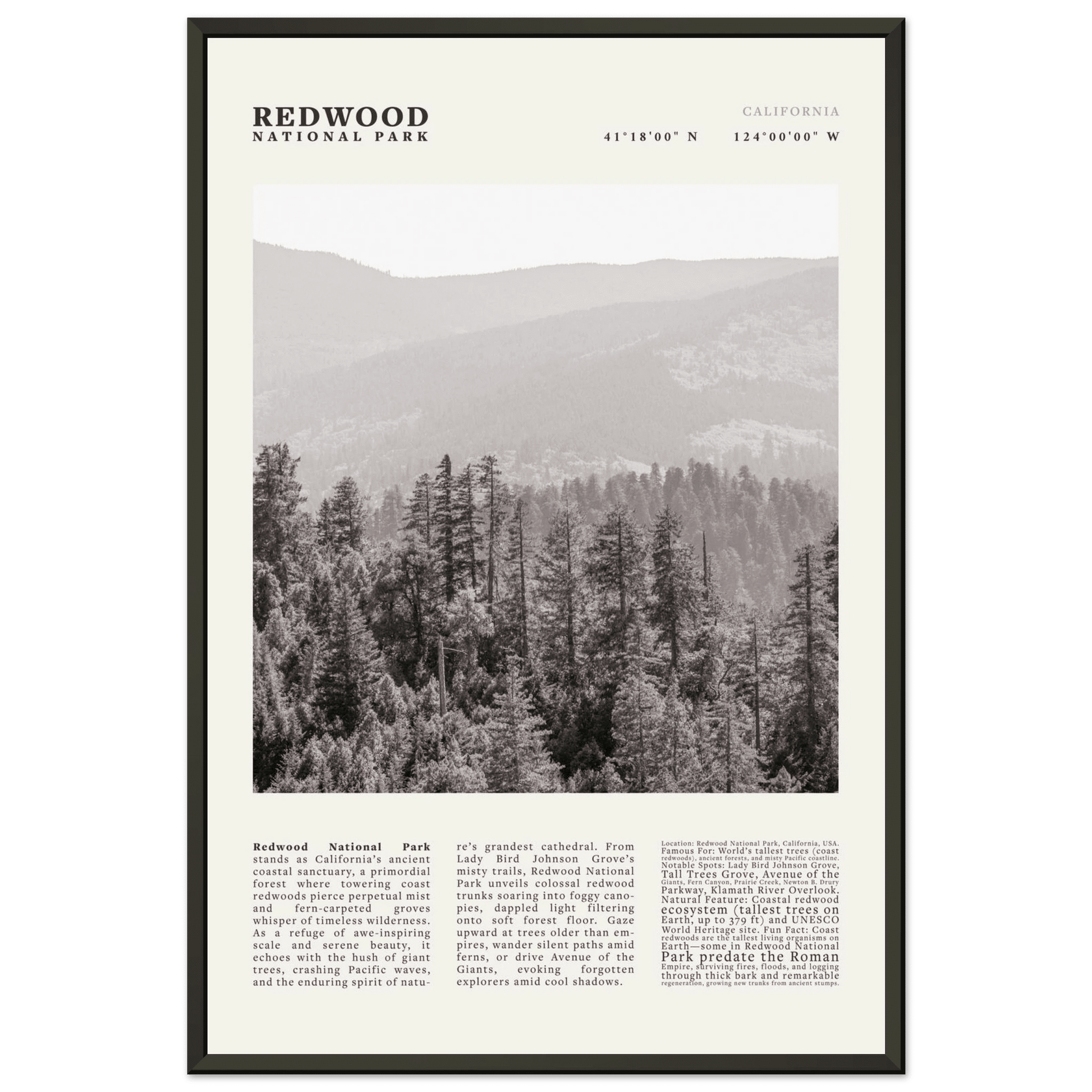 Redwood National Park Poster Black and White – Vintage Foggy Redwood Forest Print - Evergreen Posters
