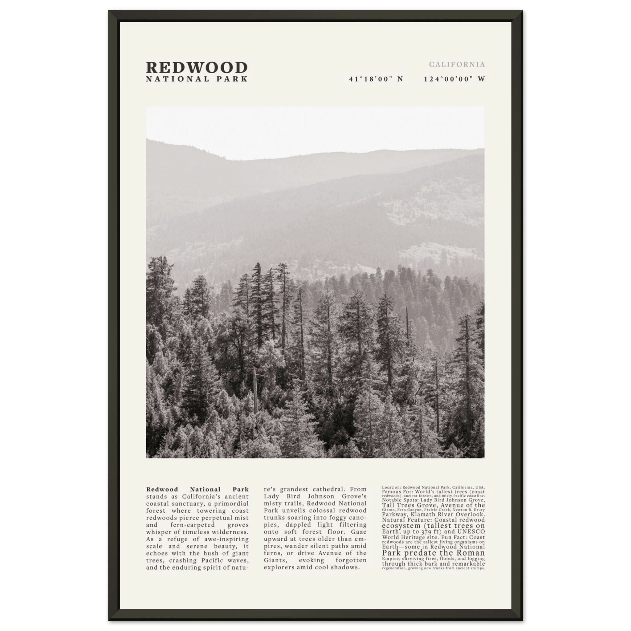 Redwood National Park Poster Black and White – Vintage Foggy Redwood Forest Print - Evergreen Posters