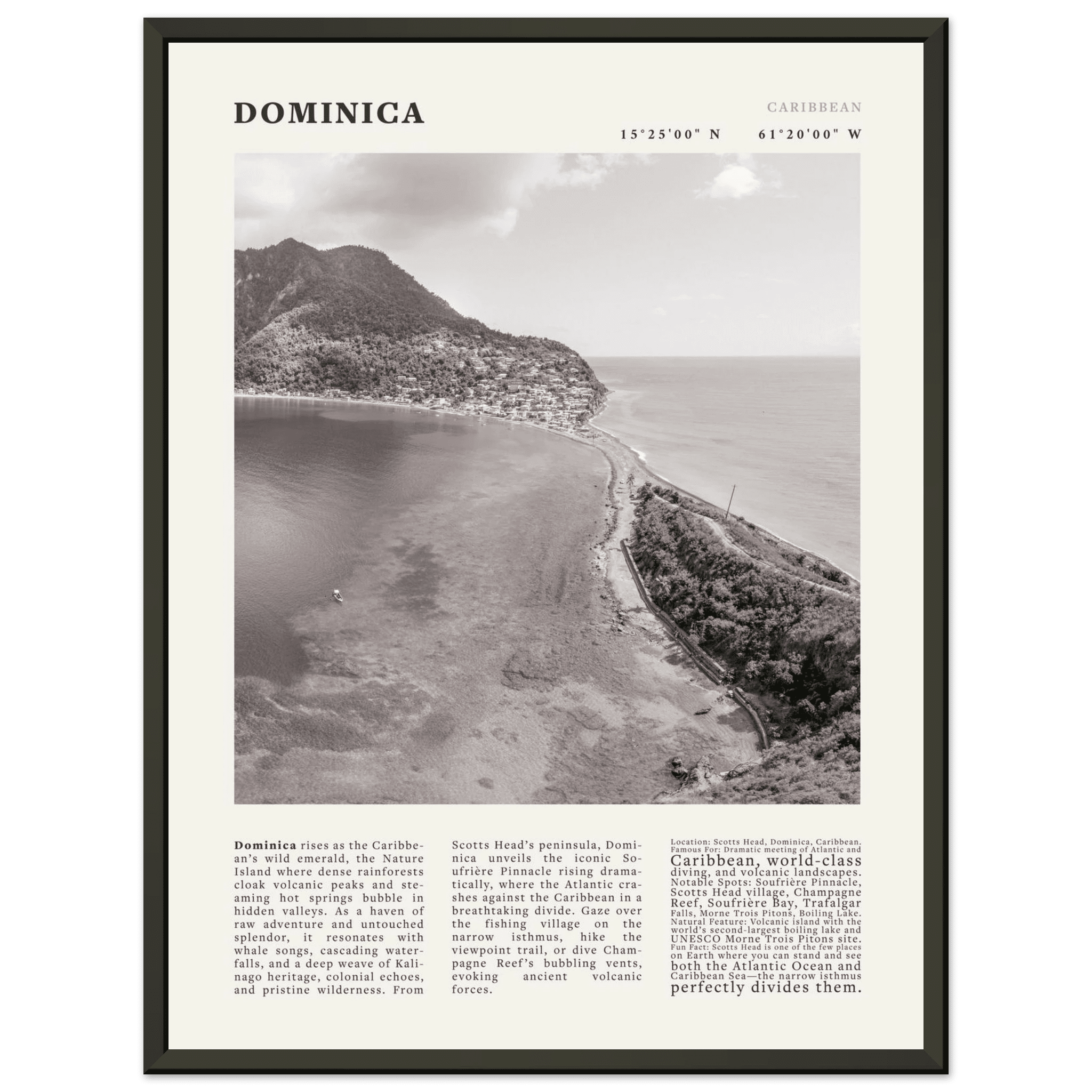 Dominica Poster Black and White – Vintage Caribbean Rainforest Island Print (Digital & Printed Options) - Evergreen Posters