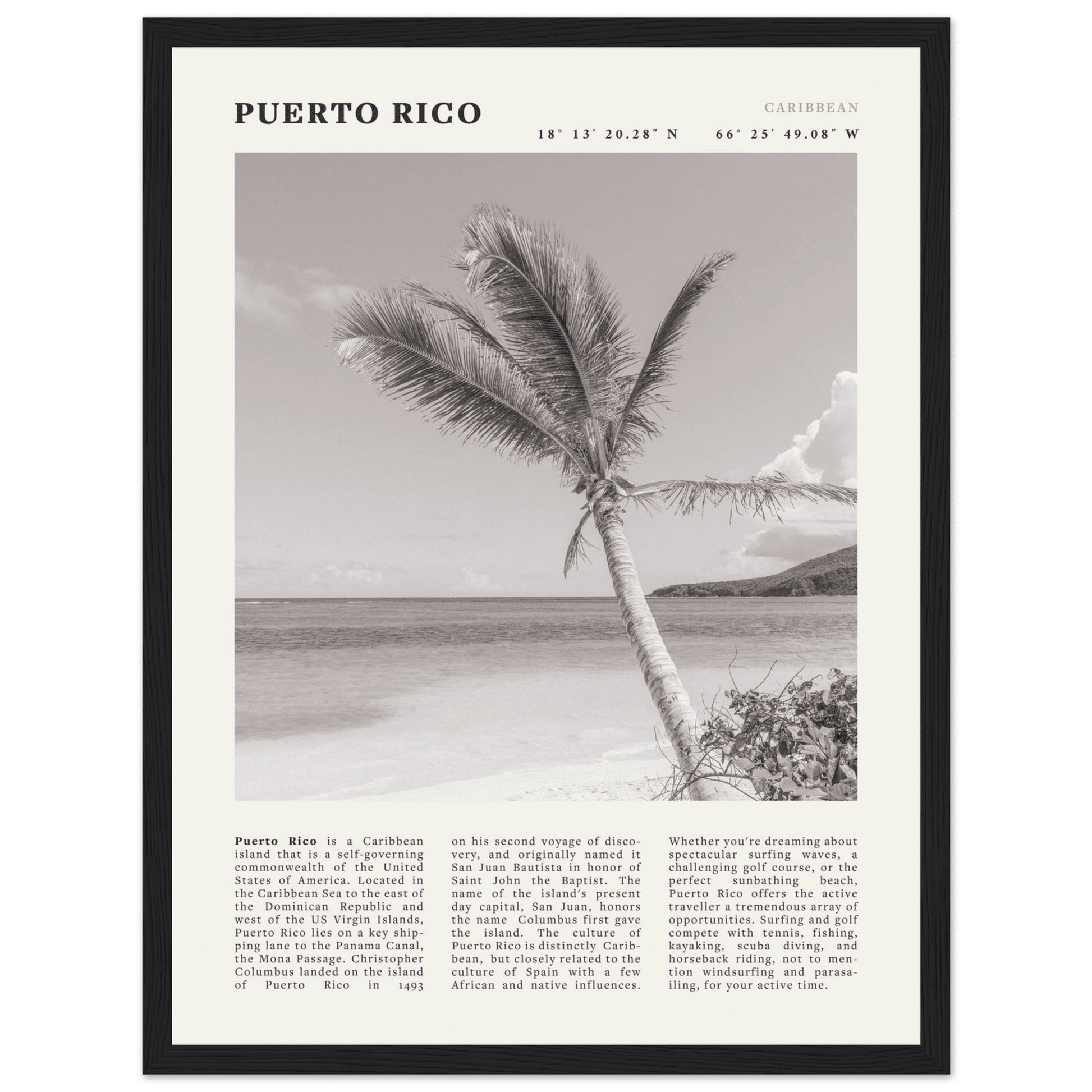 Puerto Rico Poster Black and White – Vintage Caribbean Palm Beach Print (Digital & Printed Options) - Evergreen Posters