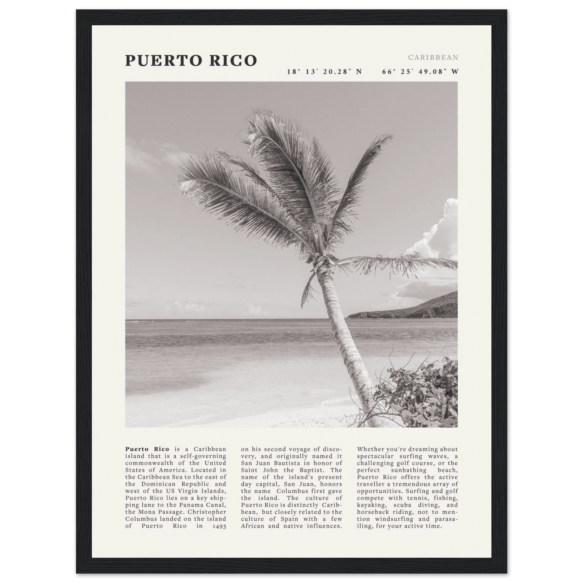 Puerto Rico Poster Black and White – Vintage Caribbean Palm Beach Print (Digital & Printed Options) - Evergreen Posters