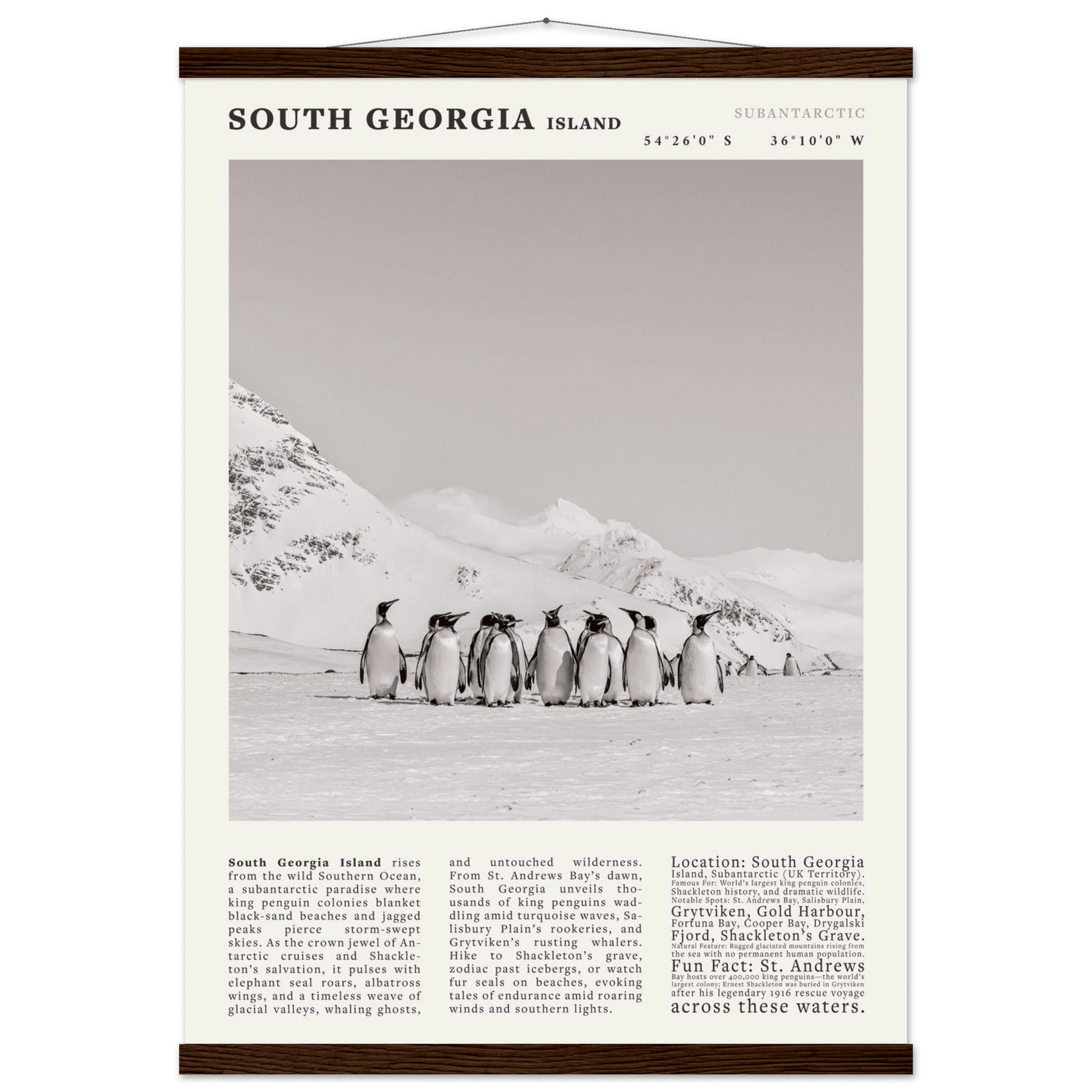 South Georgia Island Black and White Vintage Poster - Evergreen Posters