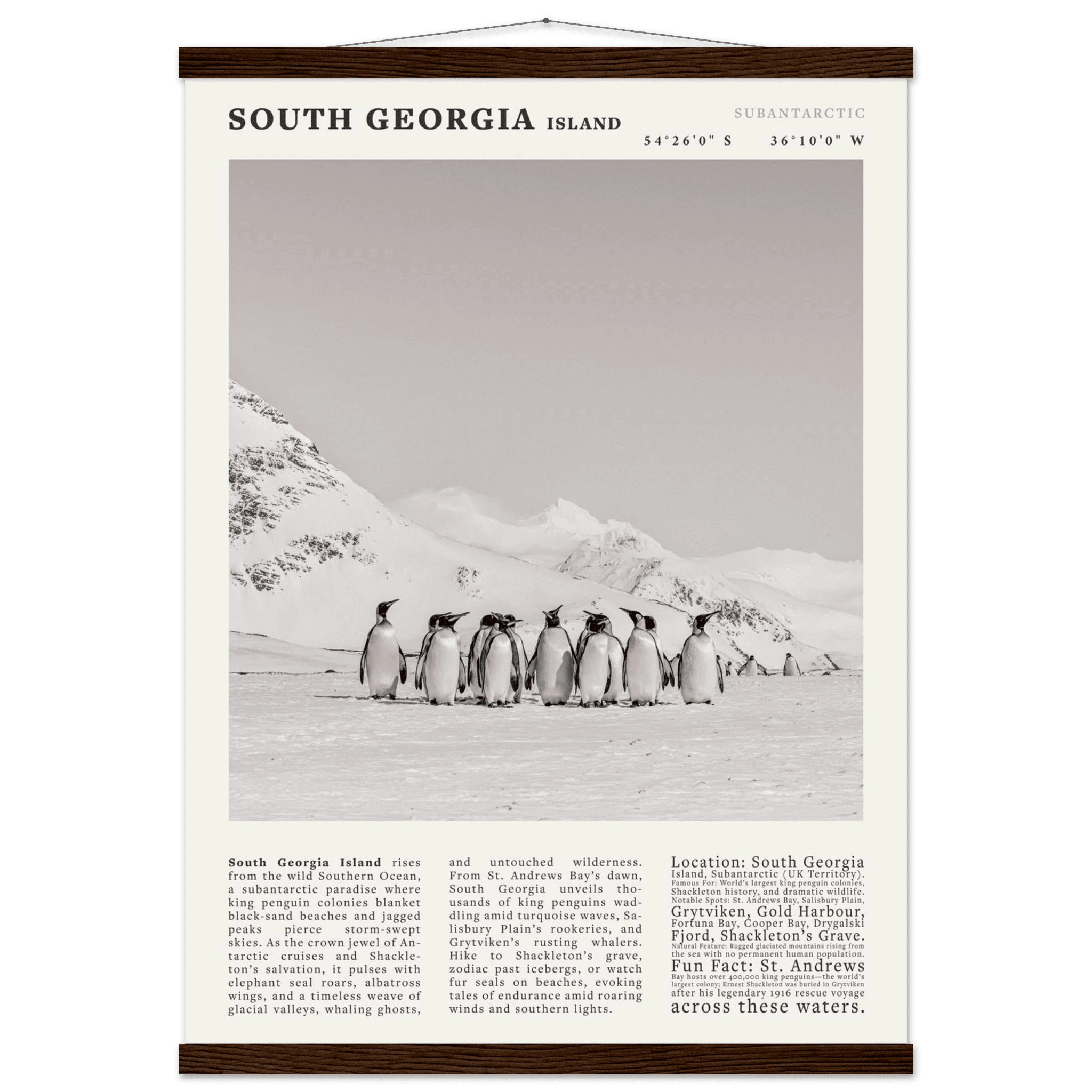 South Georgia Island Black and White Vintage Poster - Evergreen Posters