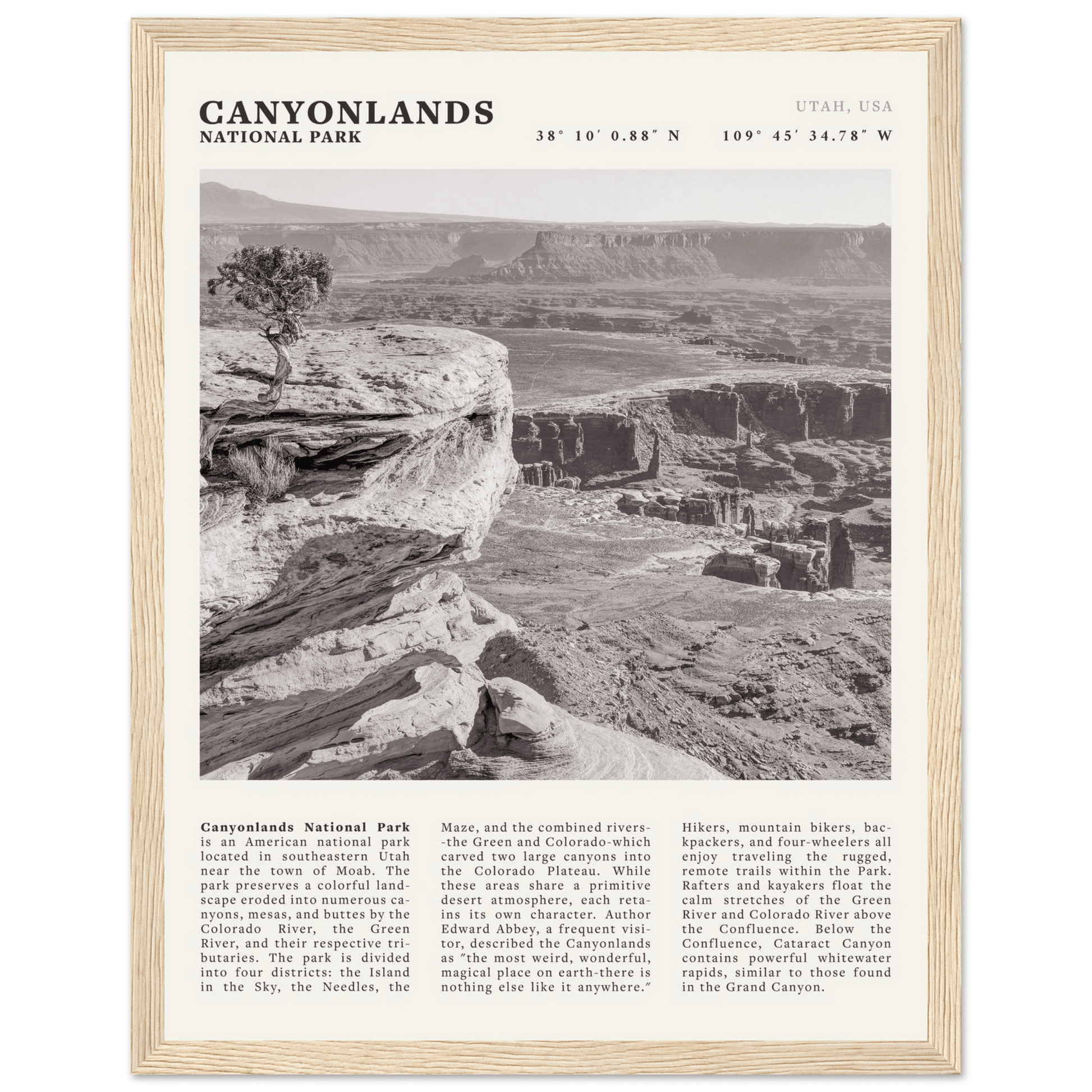 Canyonlands National Park Poster | Black & White Utah Wall Art | Canyon Travel Print - Evergreen Posters