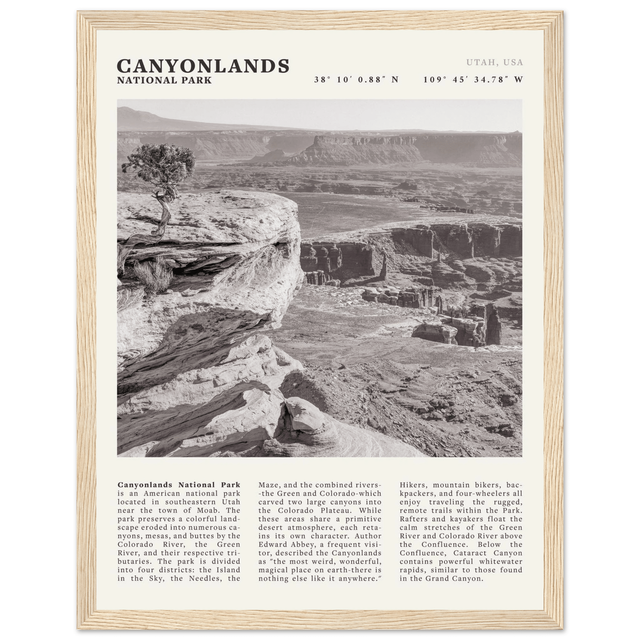 Canyonlands National Park Poster | Black & White Utah Wall Art | Canyon Travel Print - Evergreen Posters