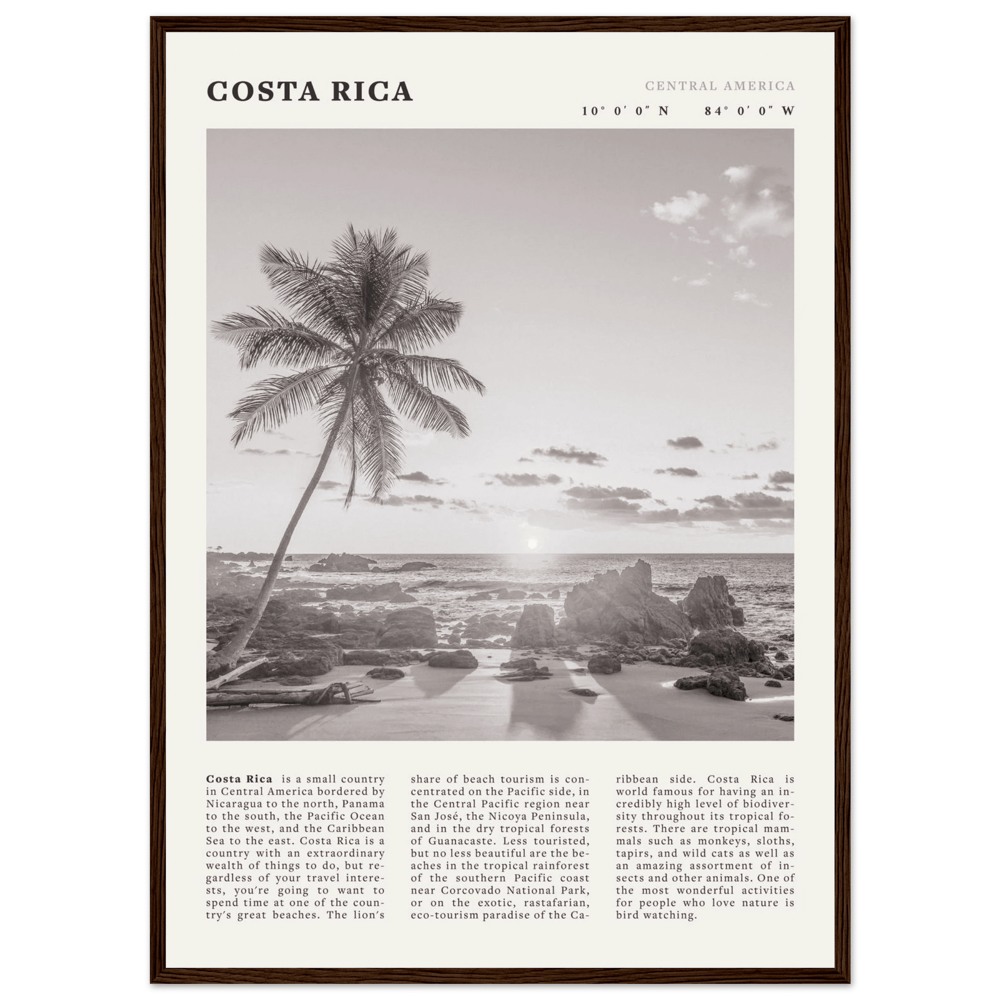 Costa Rica Poster | Black & White Palm Tree Beach Wall Art | Travel Print Decor - Evergreen Posters