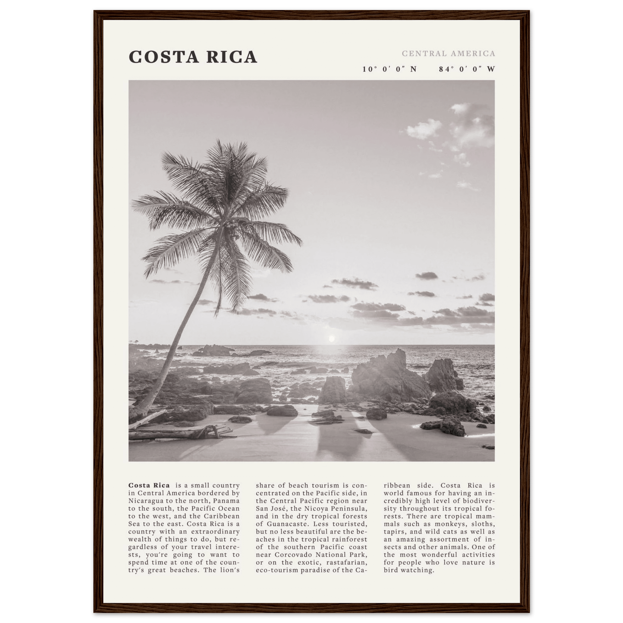 Costa Rica Poster | Black & White Palm Tree Beach Wall Art | Travel Print Decor - Evergreen Posters