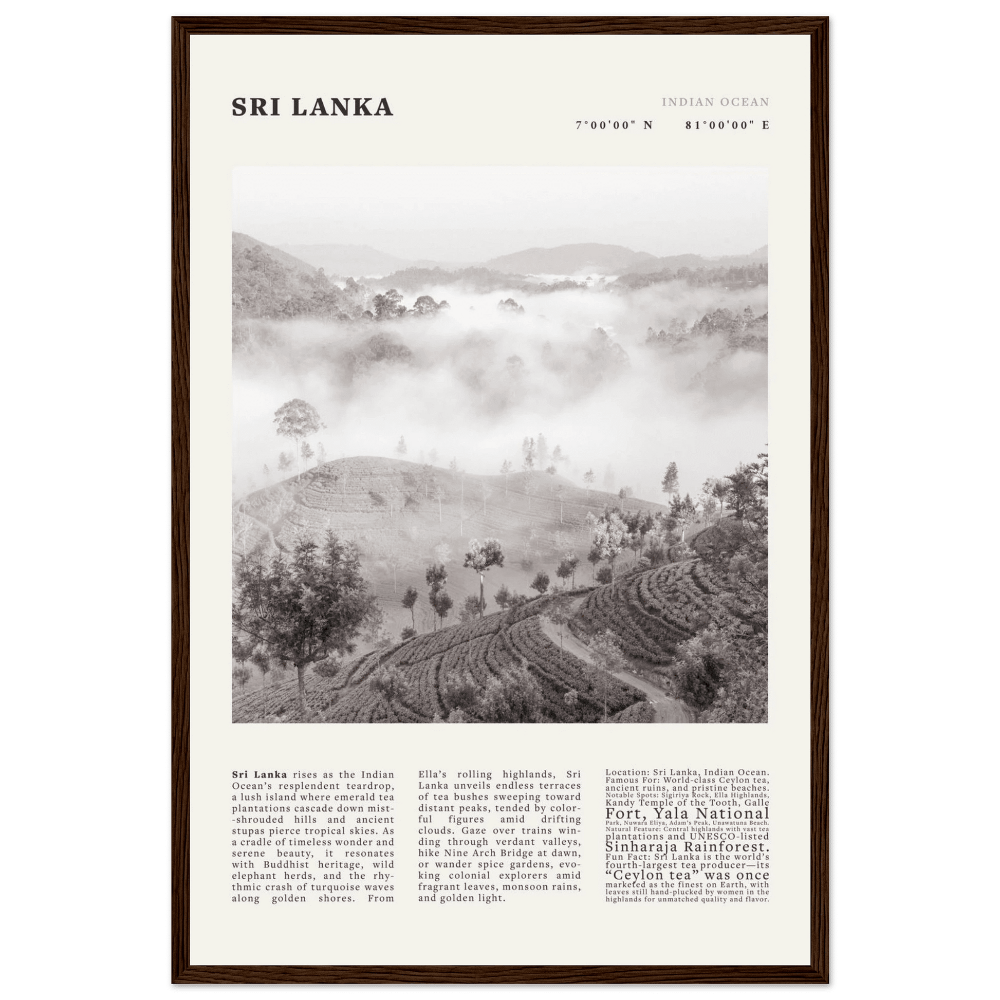 Sri Lanka Poster Black and White – Vintage Ceylon Tea Plantation Print (Digital & Printed Options) - Evergreen Posters