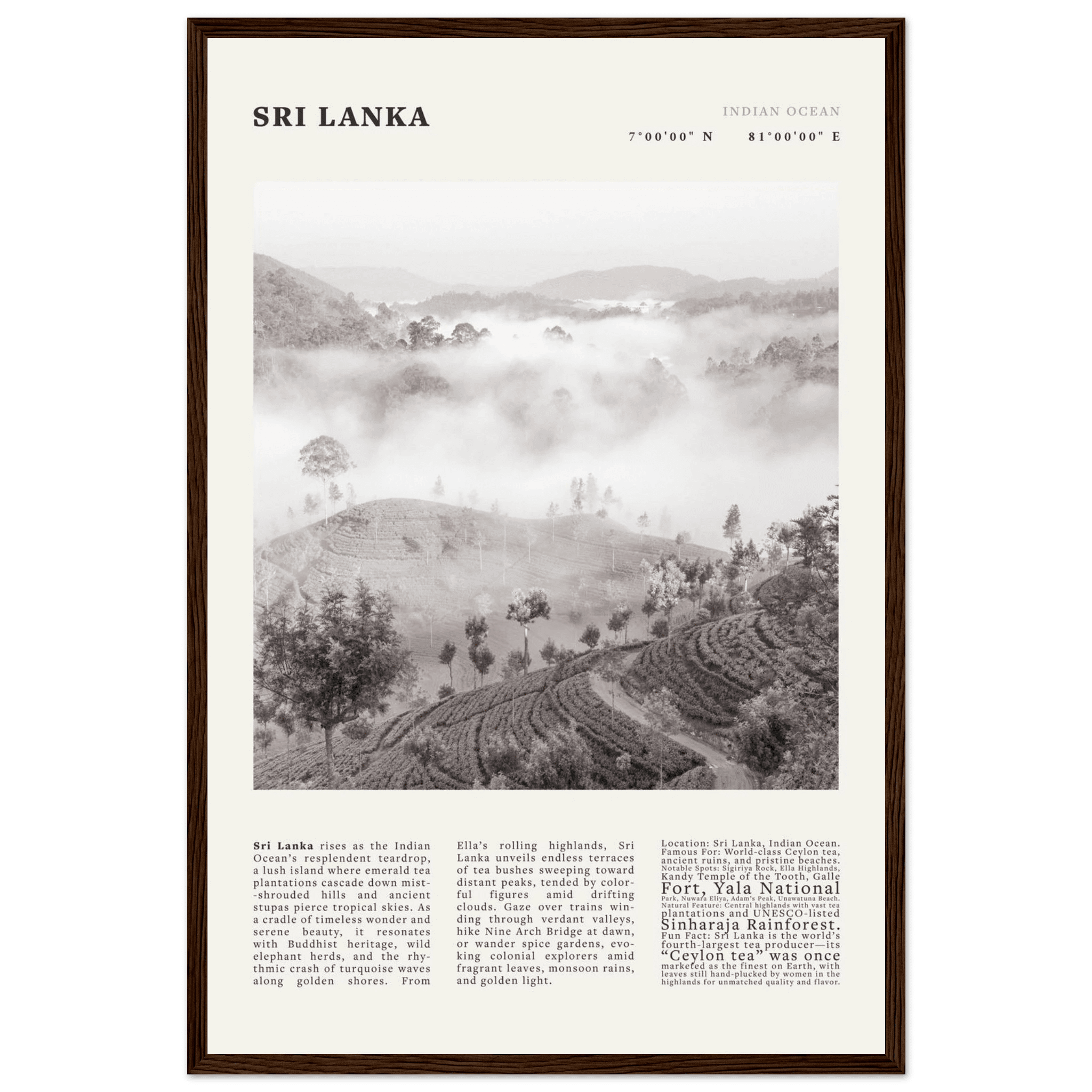 Sri Lanka Poster Black and White – Vintage Ceylon Tea Plantation Print (Digital & Printed Options) - Evergreen Posters