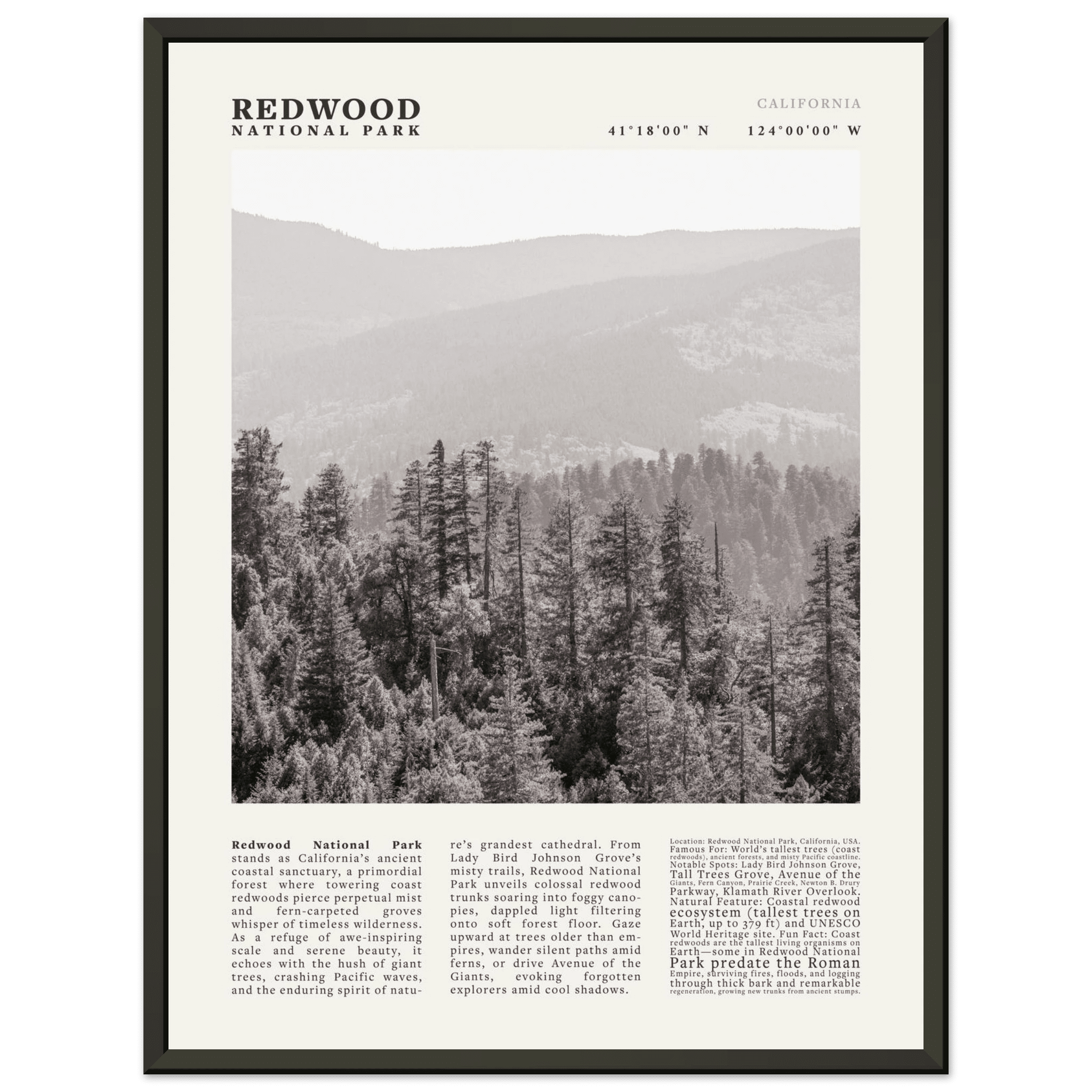 Redwood National Park Poster Black and White – Vintage Foggy Redwood Forest Print - Evergreen Posters