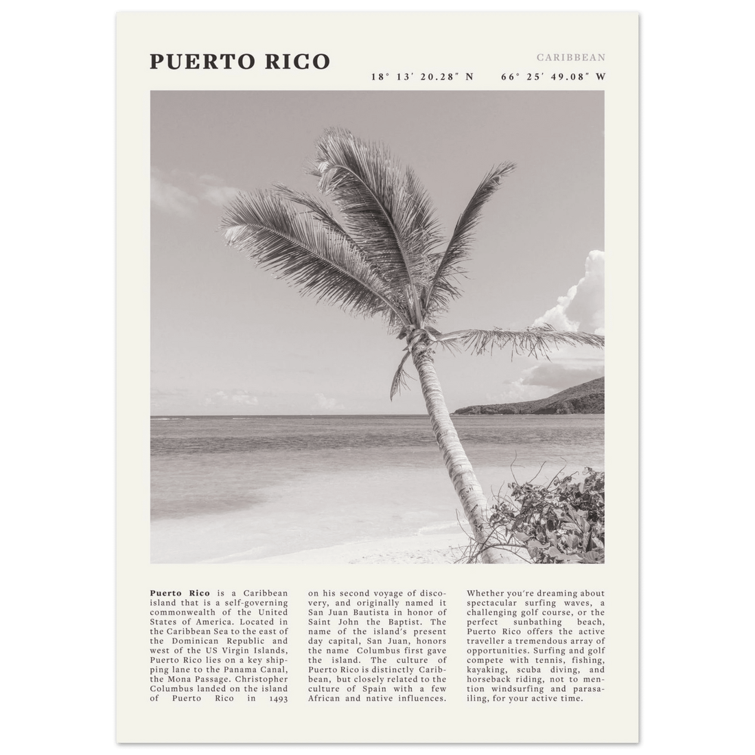 Puerto Rico Poster Black and White – Vintage Caribbean Palm Beach Print (Digital & Printed Options) - Evergreen Posters