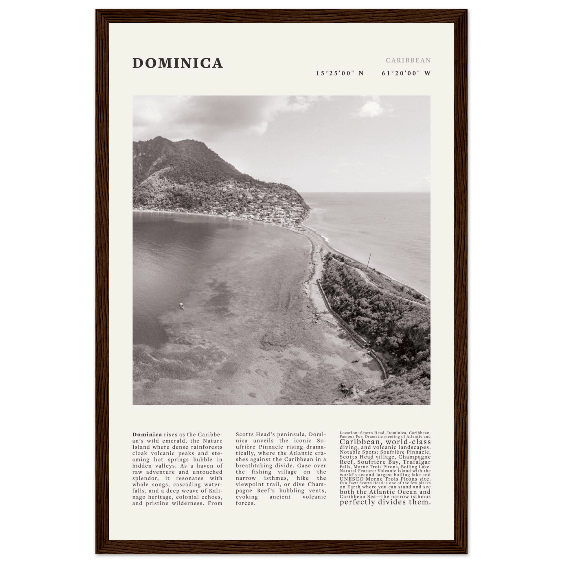 Dominica Poster Black and White – Vintage Caribbean Rainforest Island Print (Digital & Printed Options) - Evergreen Posters